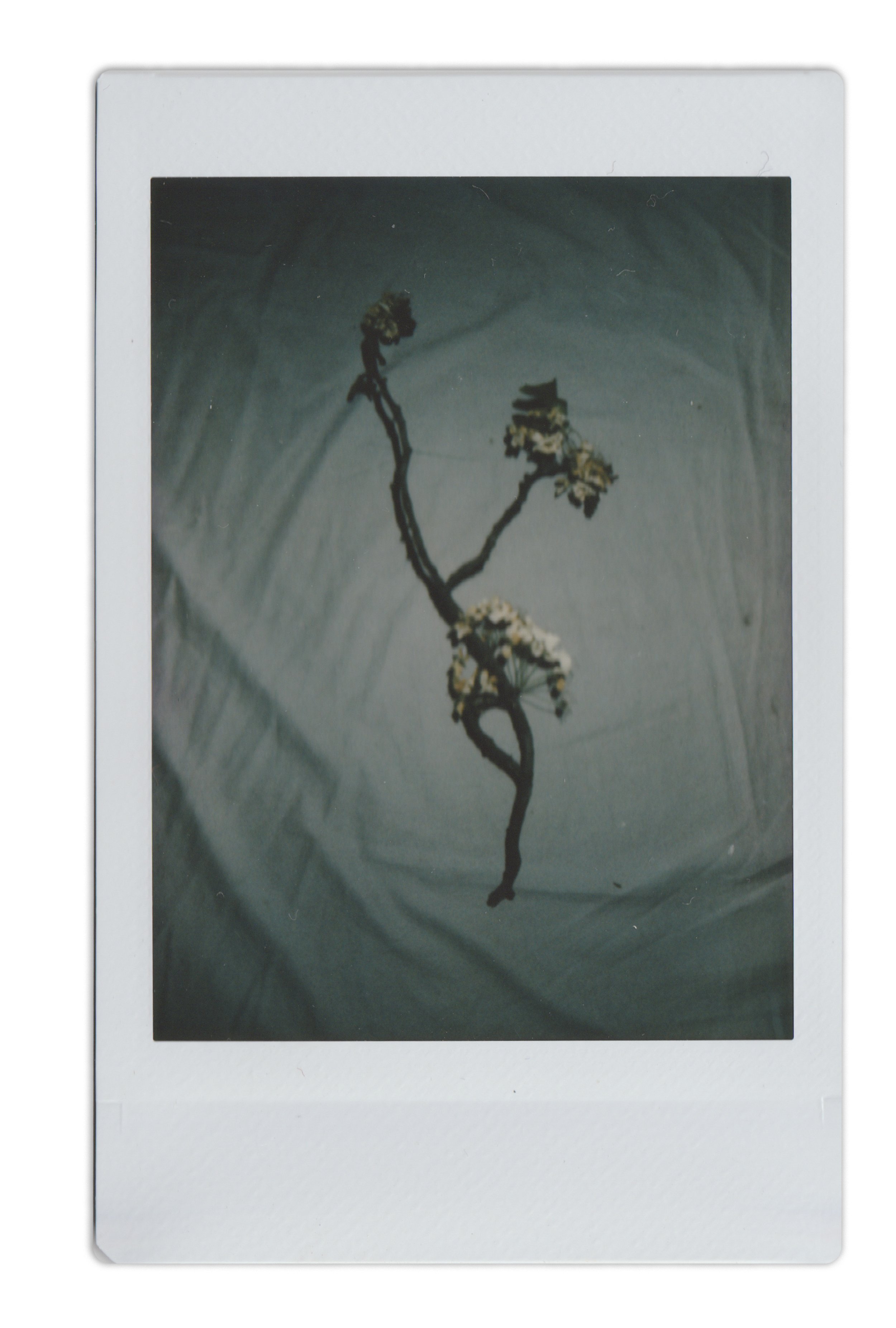 Polaroid Individual_0001s_0003_Old Photos Scan 4.jpg