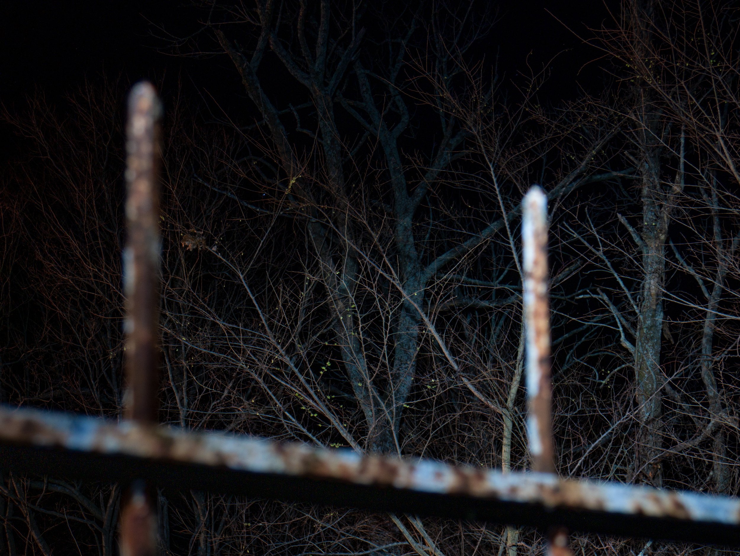 Witch's Grave #008