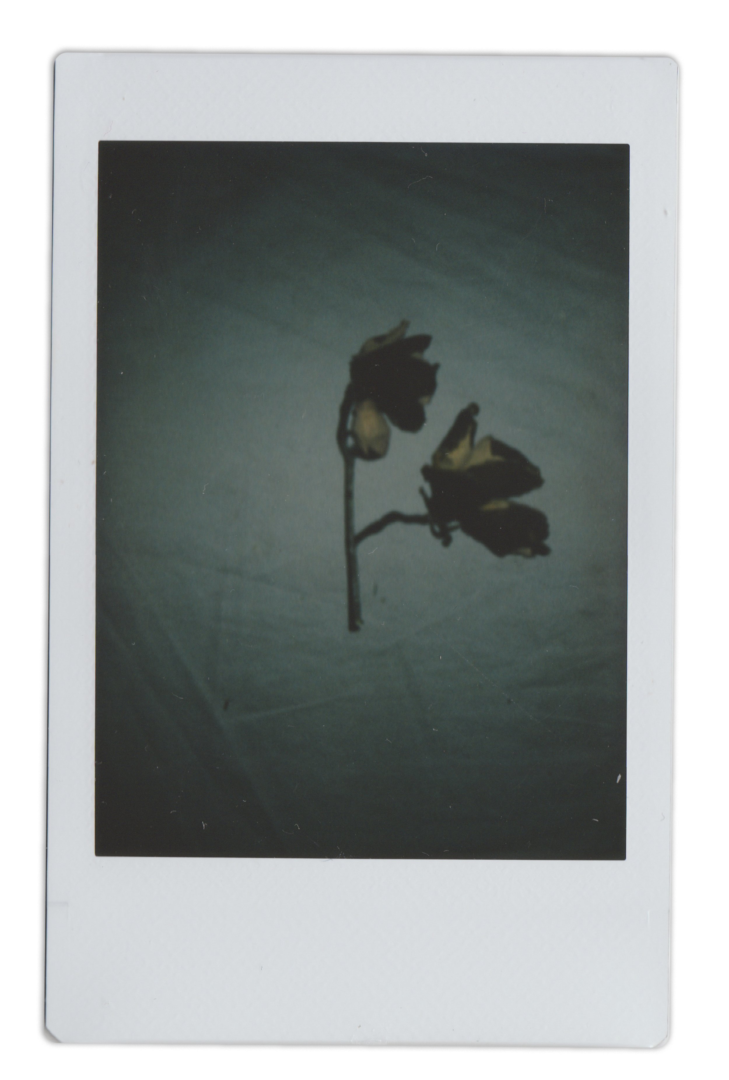 Polaroid Individual_0000s_0003_Old Photos Scan 5.jpg