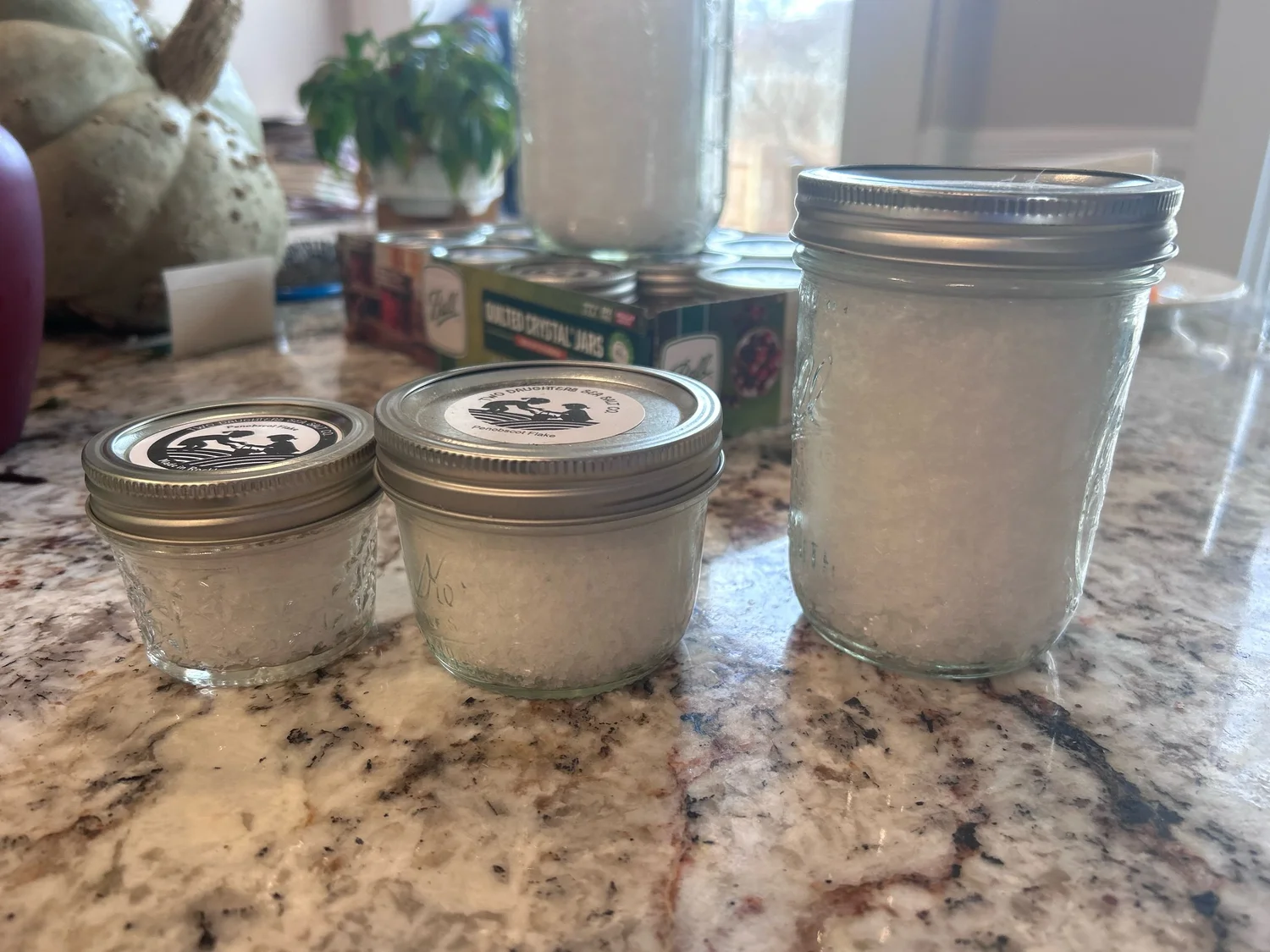 Shio Sea Salt — Two Daughters Sea Salt Co.