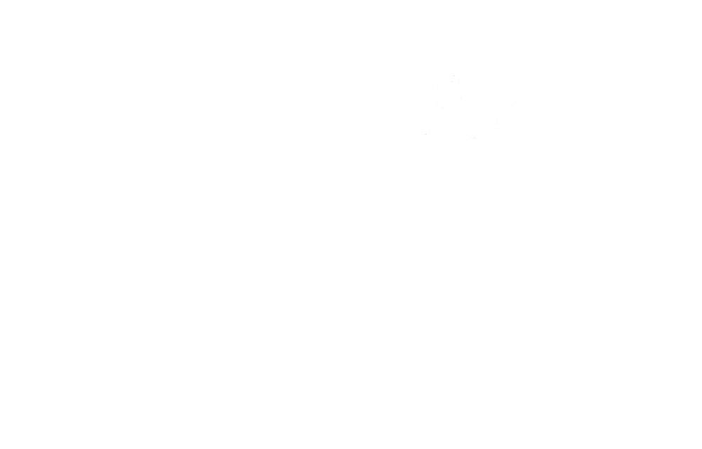 Honor Your Dog