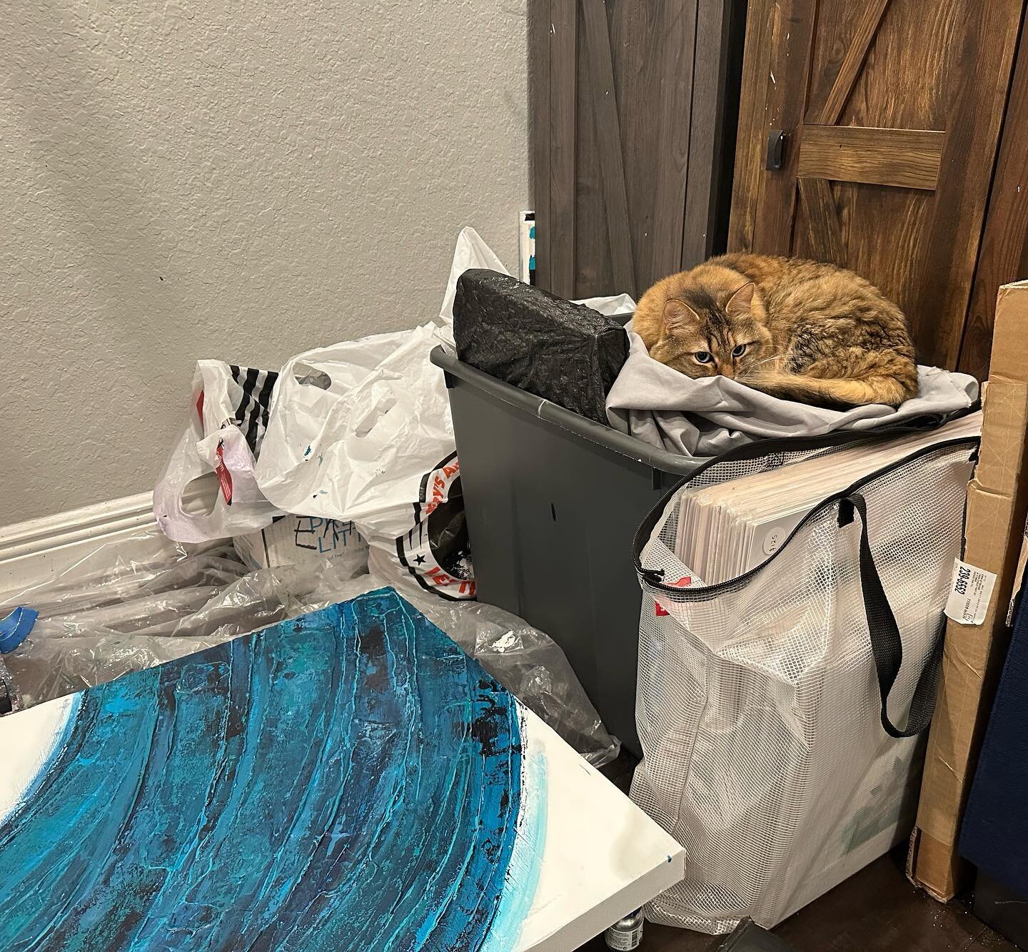 My cat is &ldquo;helpfully&rdquo; monitoring my new painting&rsquo;s progress from her perch on top of a stack of my small paintings lined up on their sides.  There&rsquo;s a couch right beside this but I suppose this is more comfortable? 🤦&zwj;♀️ 
