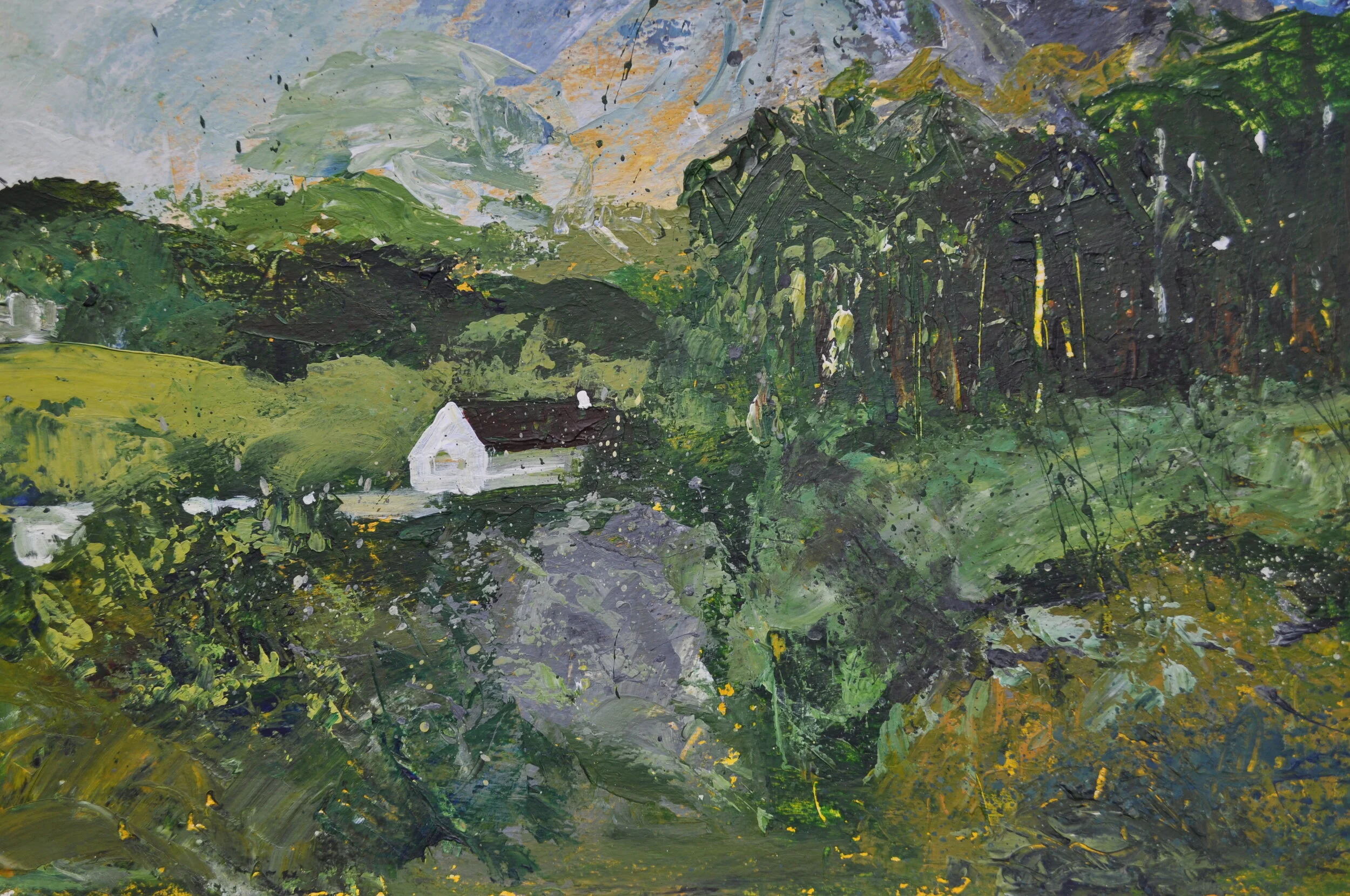 Scottish Highland by Stephen Wood.JPG