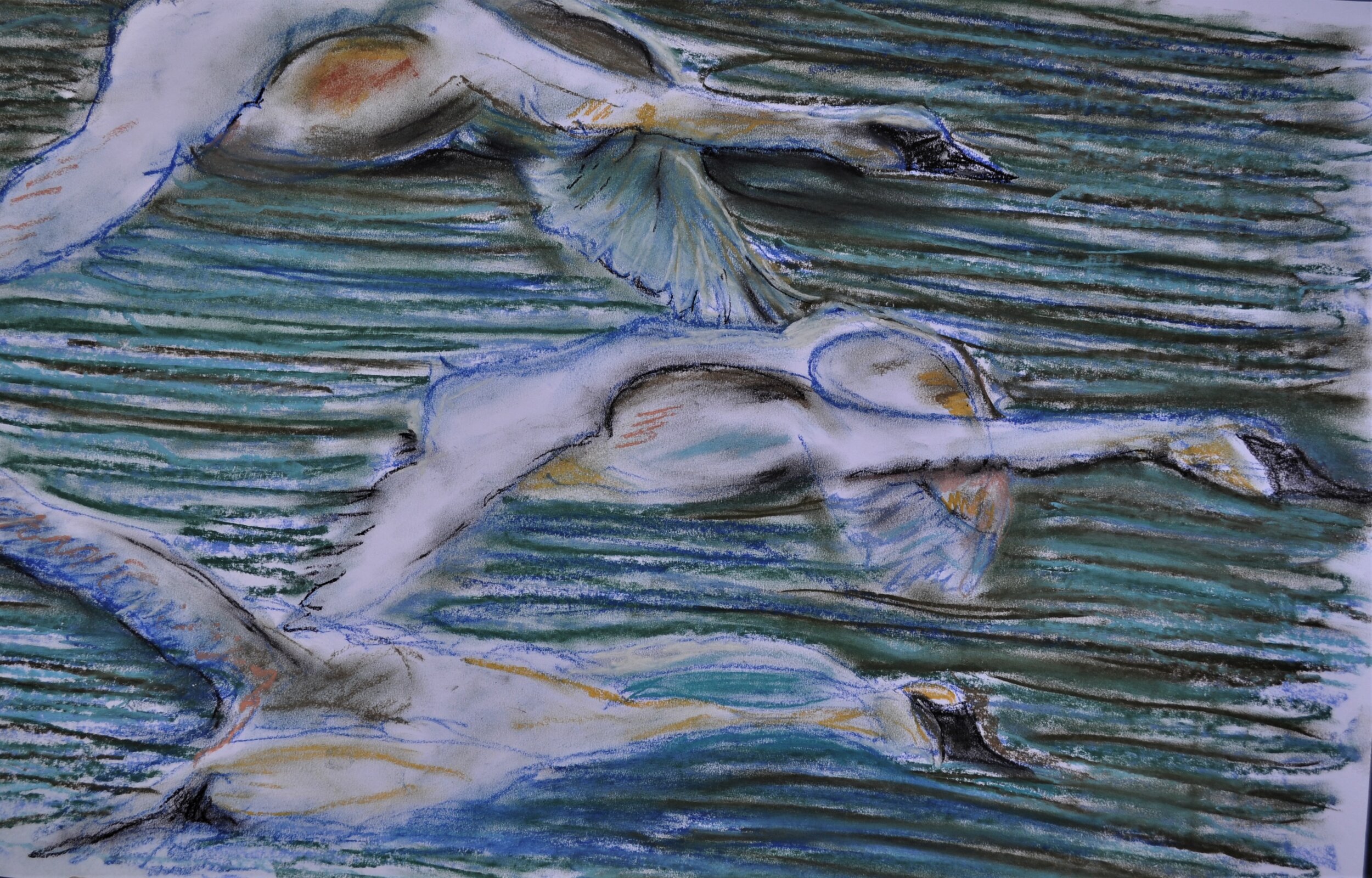 Swans Hampton Thames by Stephen Wood.JPG