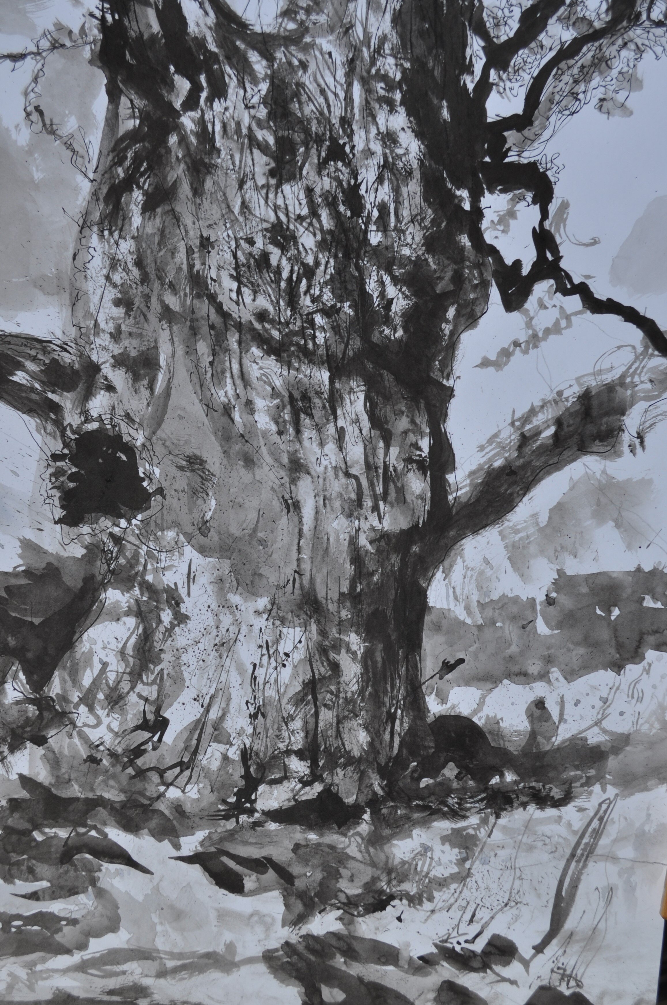 Tree Trunk Richmond Park