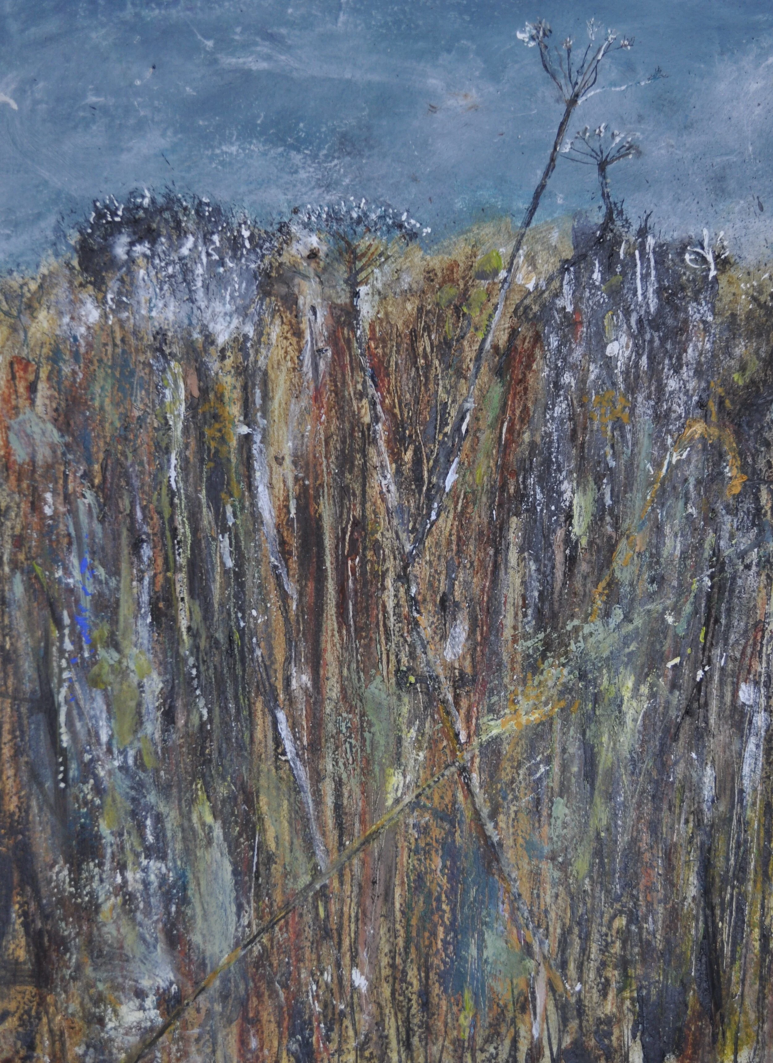 Autumn Field by Stephen Wood.JPG