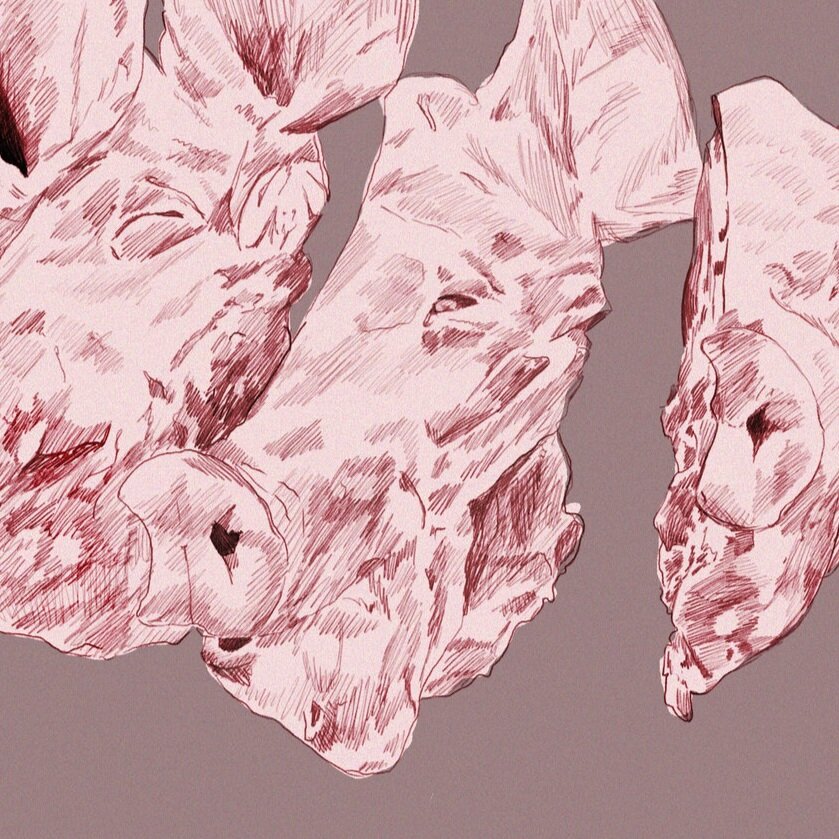 pig+heaad.jpg