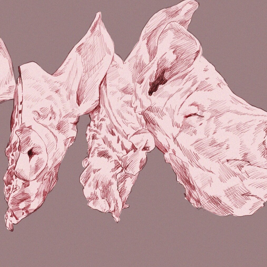 pig+heaad.jpg