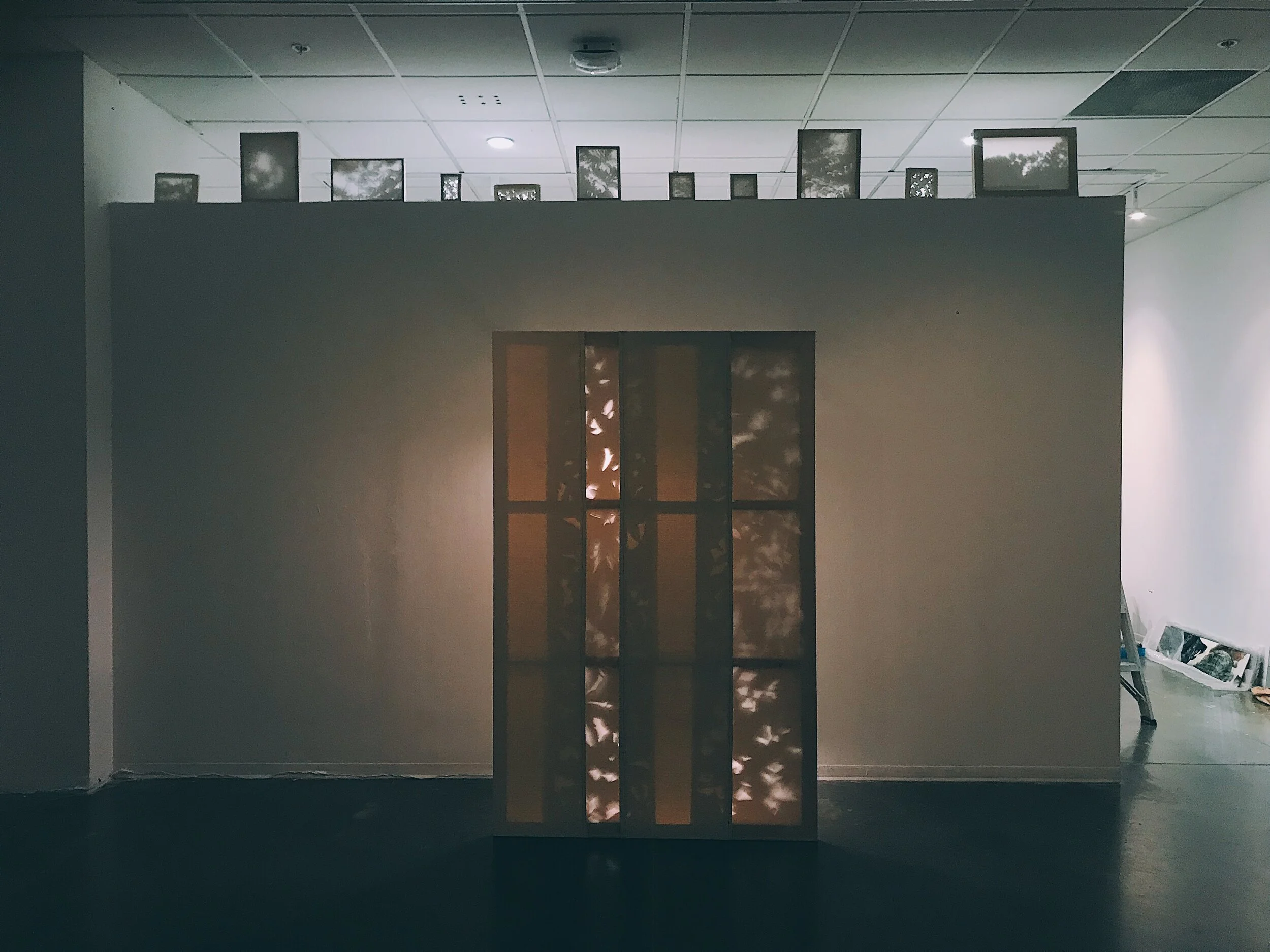 Shadow Boxes