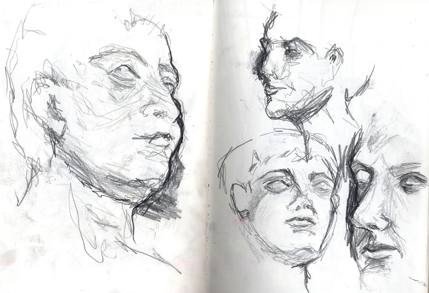 IMG_1537.PNG