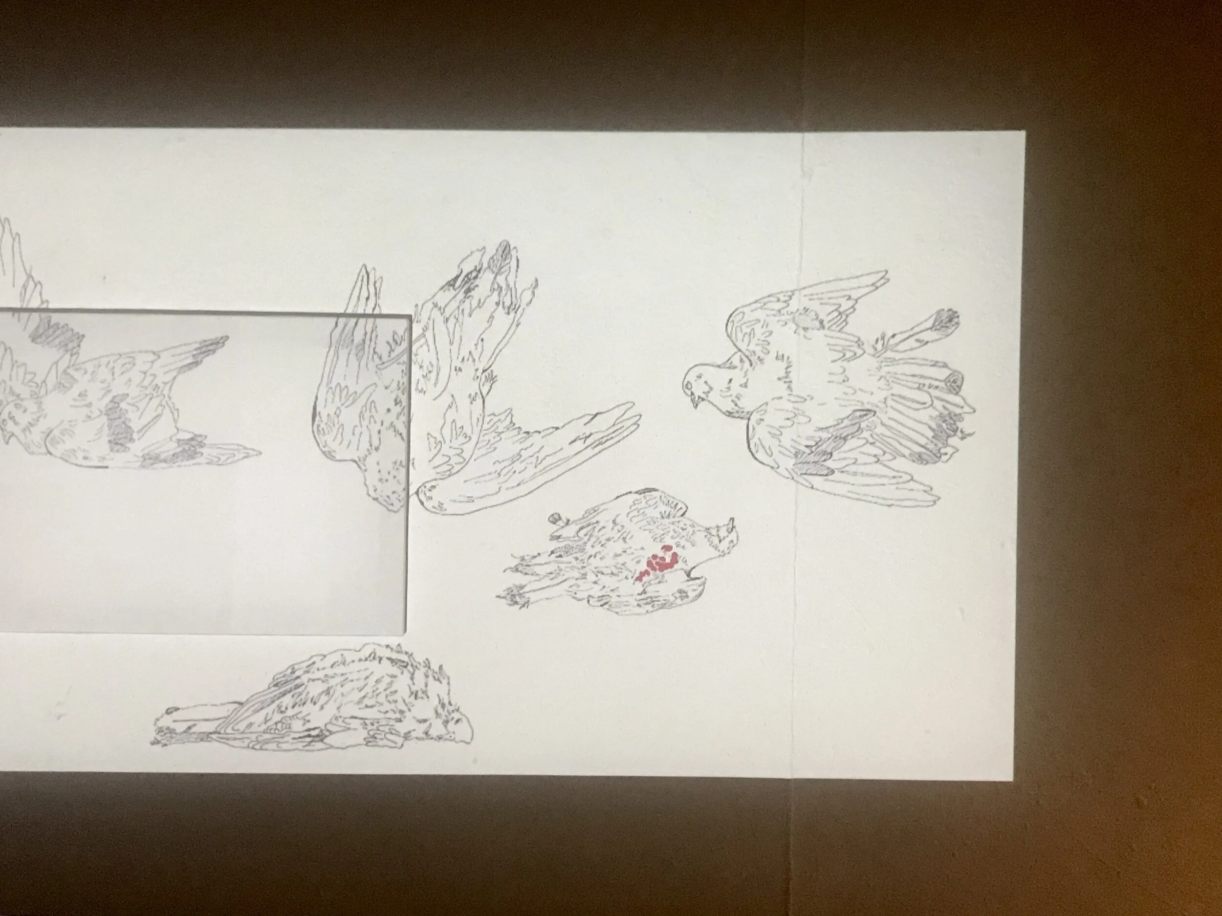 Animation projection in gallery, detail