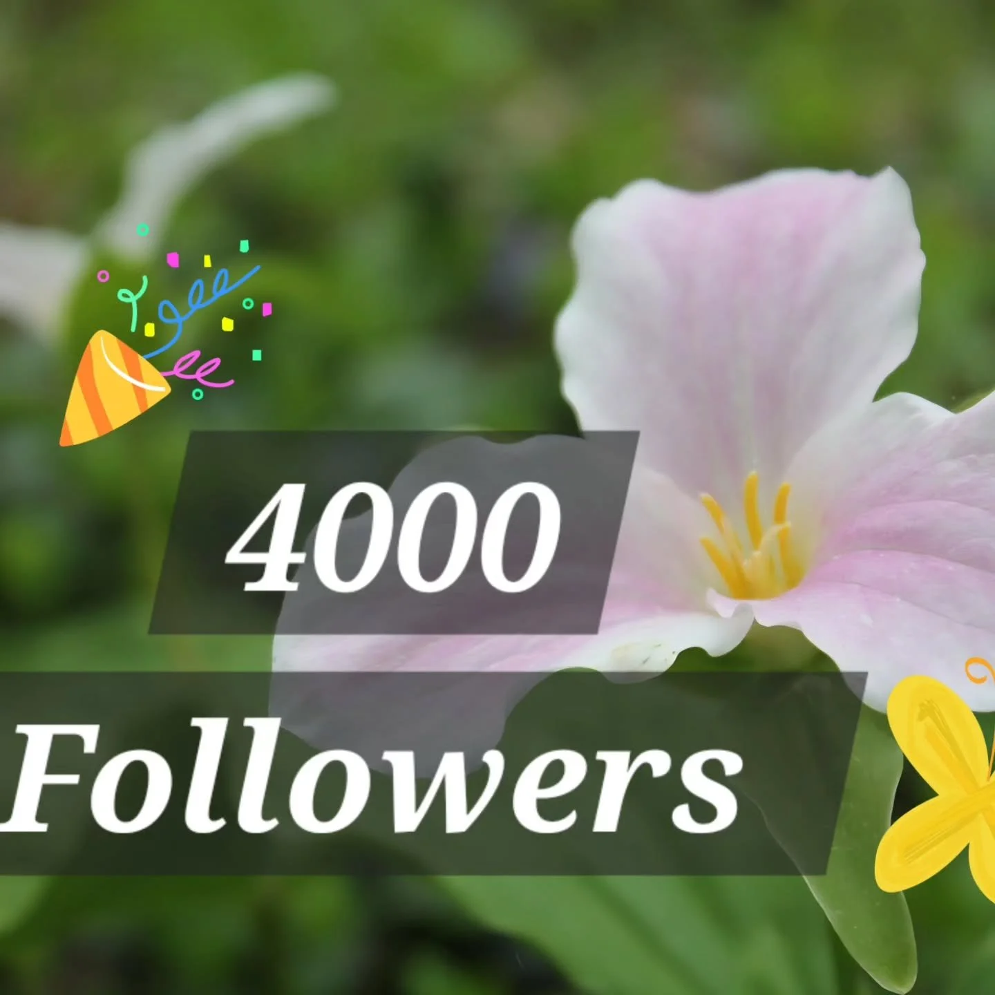 Thank you so much for 4000 followers!!! Means the world to me!💖💓💜💗❤️🤎🩷🧡

Definitely time for a GIVEAWAY 🥳🥳🥳

Ill send a project bag anywhere in the world, just comment down below which WIP youd like to keep in a project bag (so I can try to