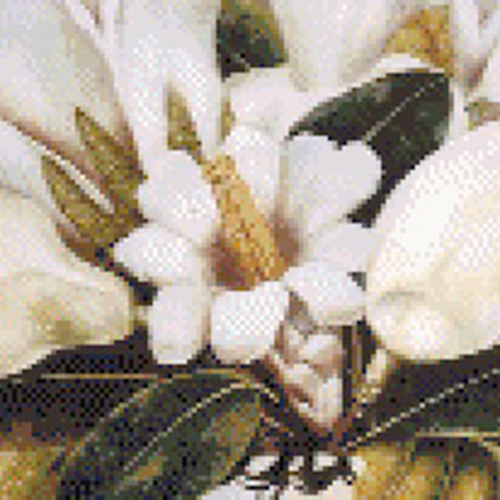 magnolias_2.jpg