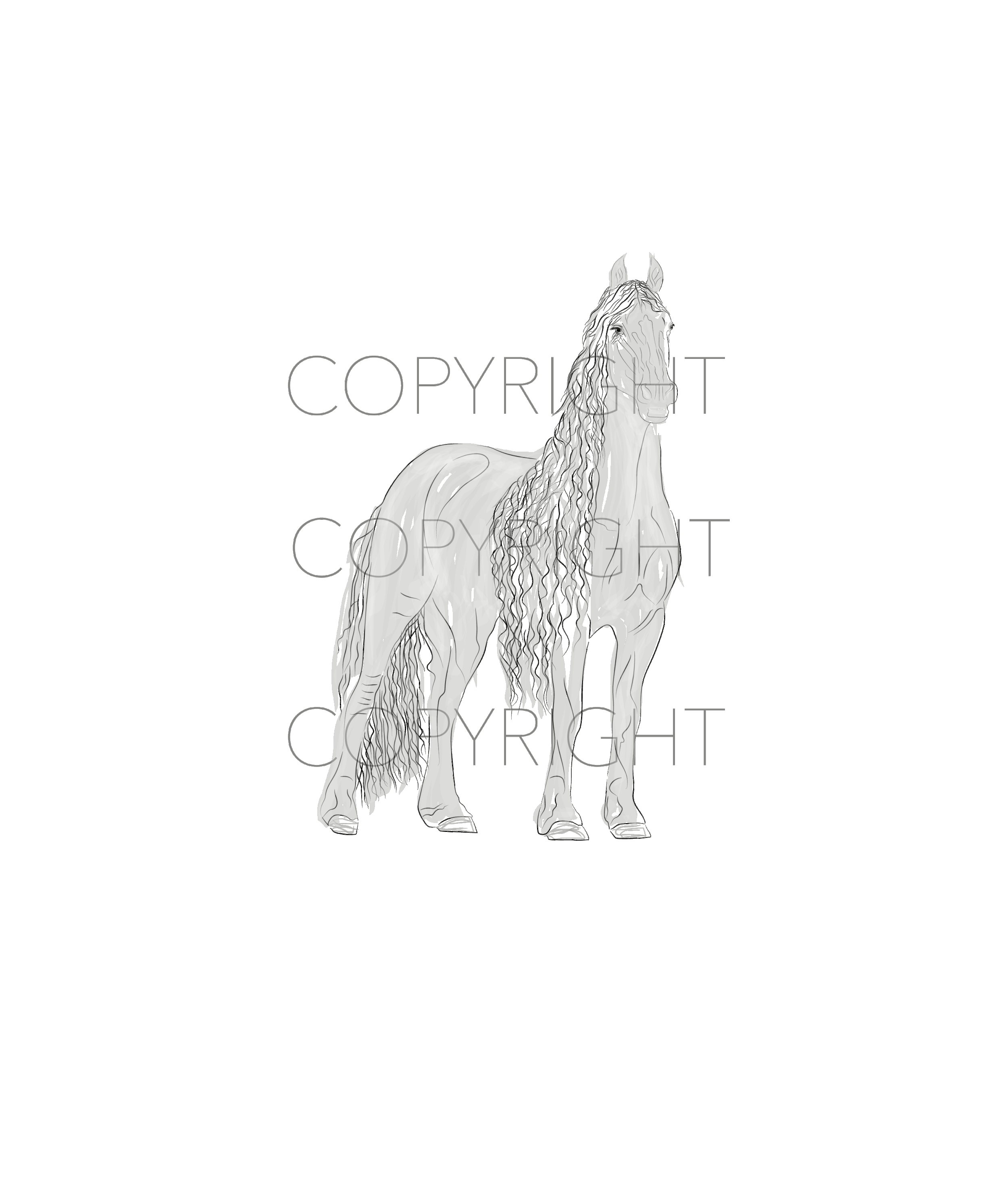 HORSE#13.gif