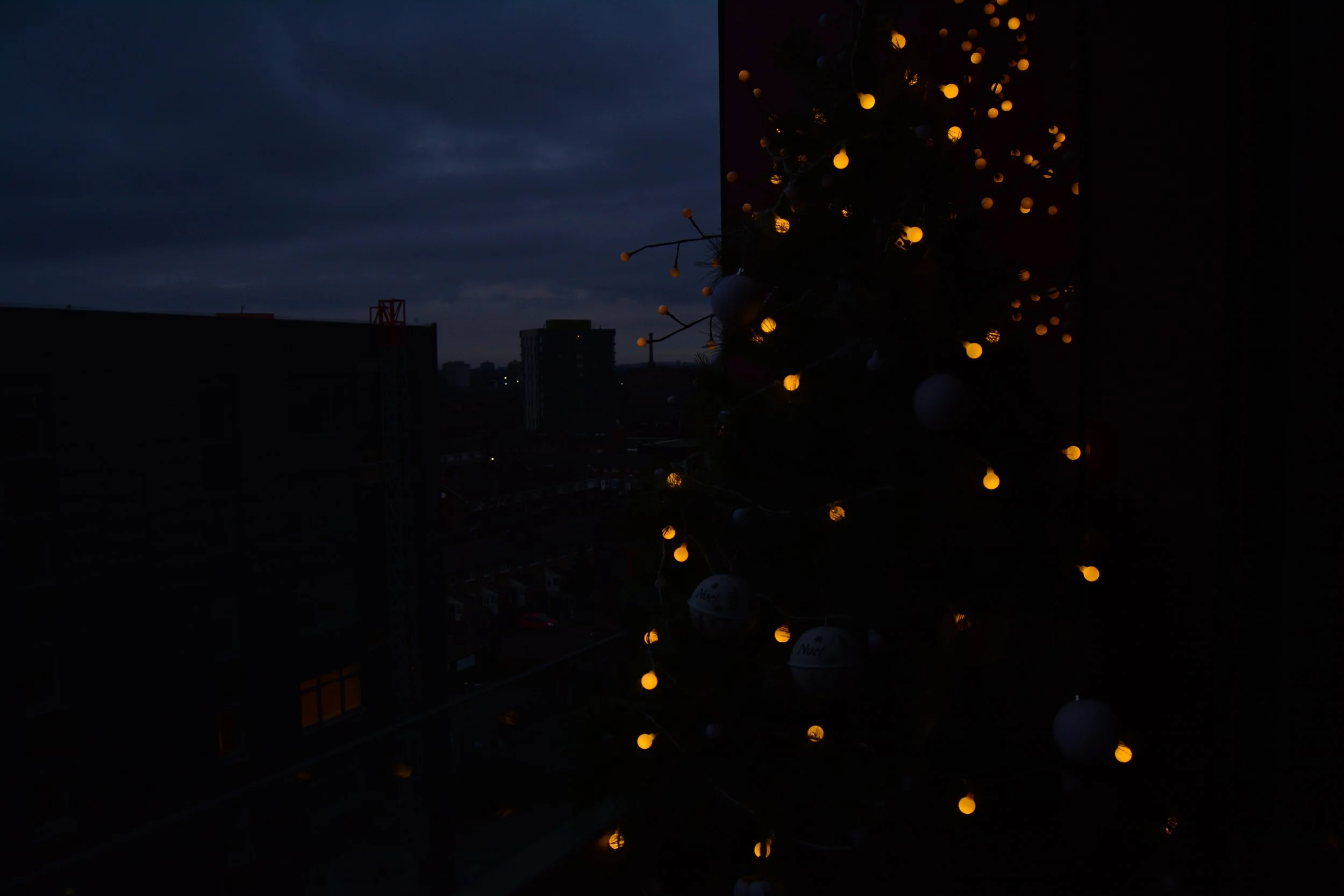 DSC_0037.JPG