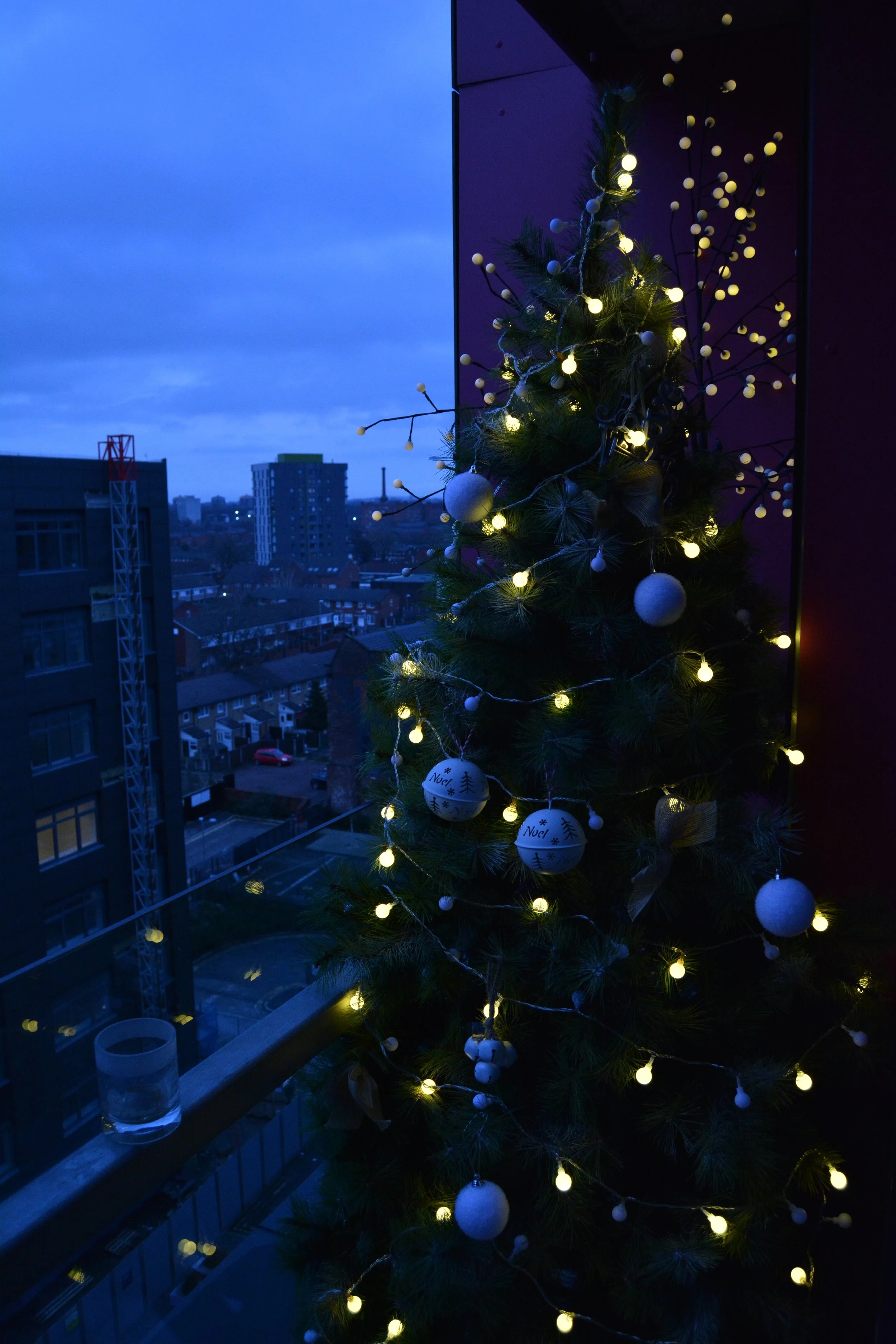 DSC_0035.JPG