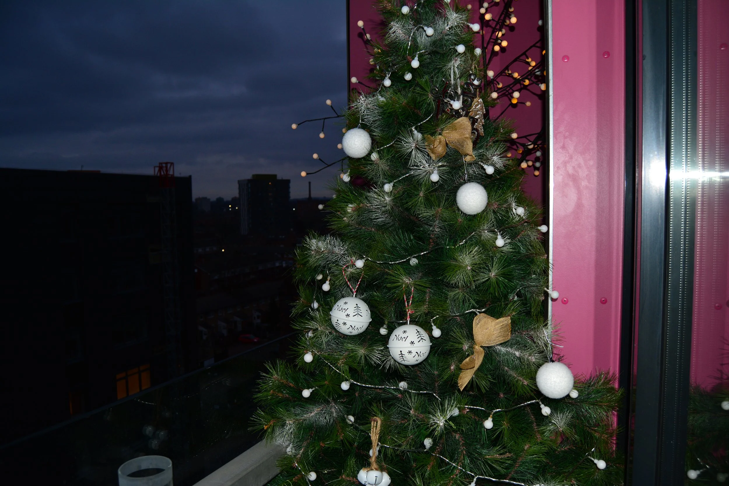 DSC_0038.JPG
