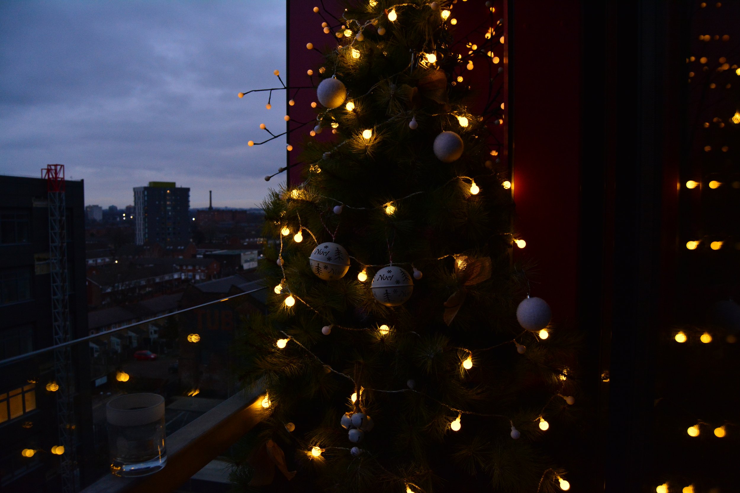 DSC_0046.JPG