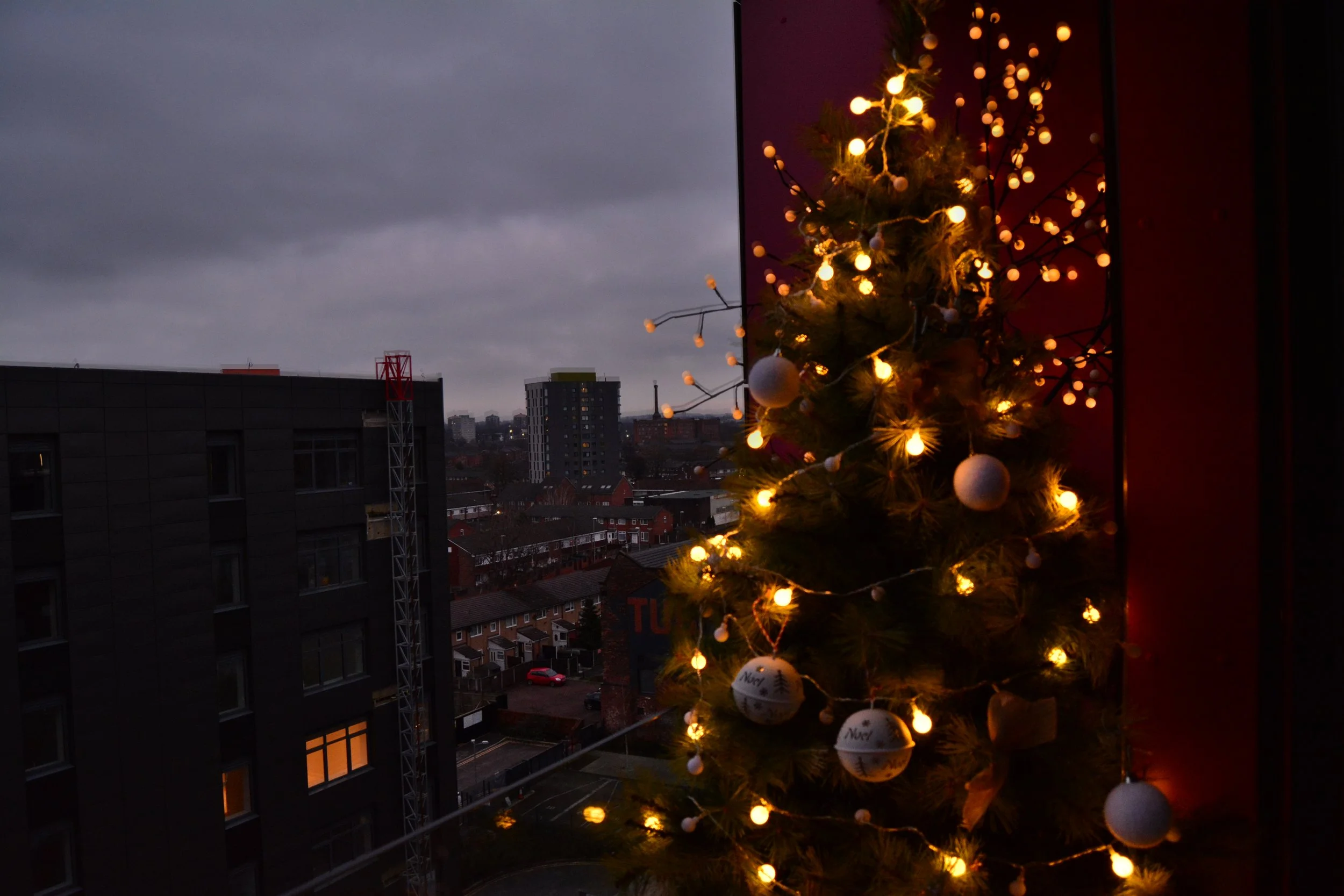 DSC_0050.JPG