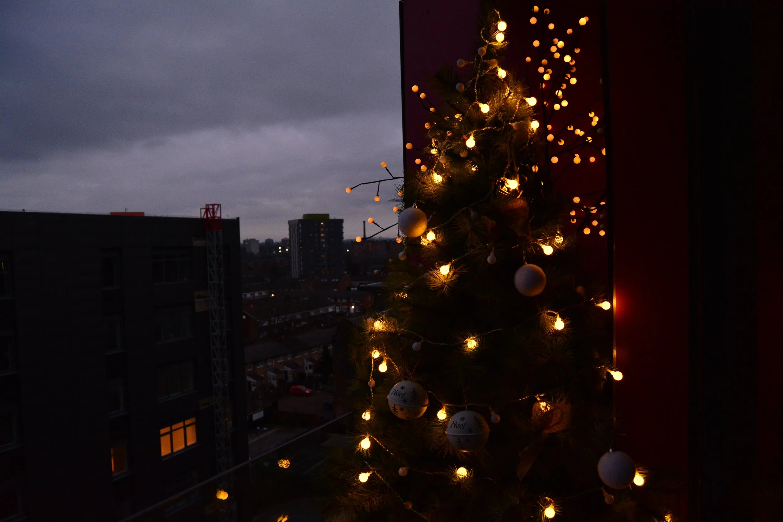 DSC_0051.JPG