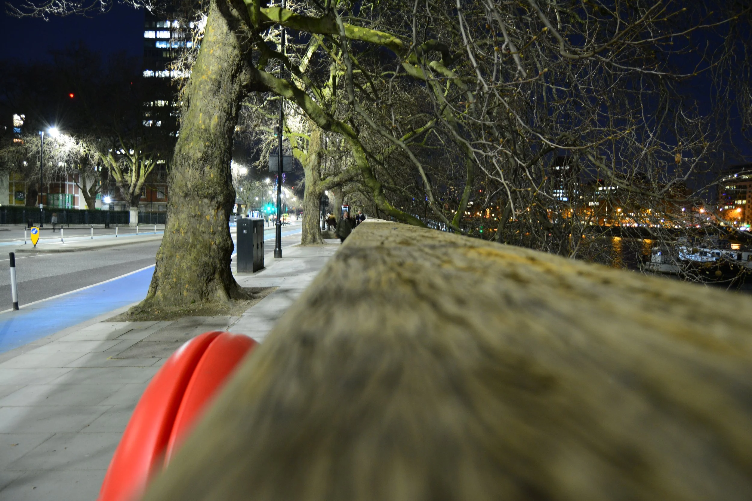DSC_0101.JPG