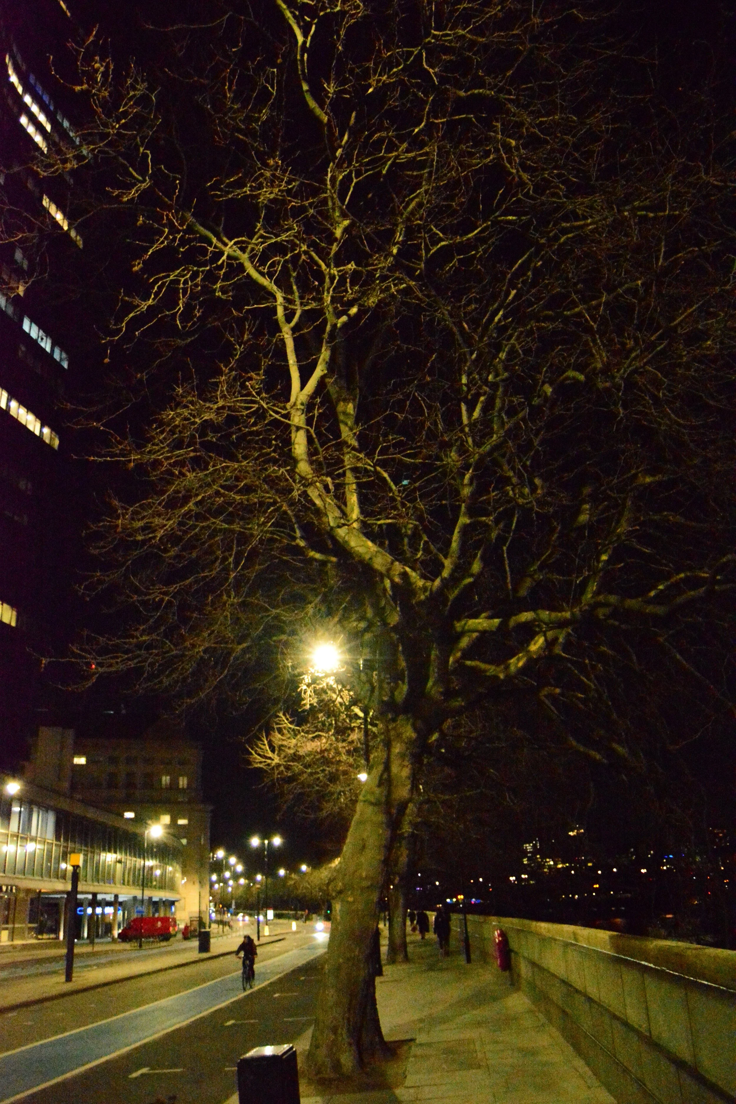 DSC_0108.JPG