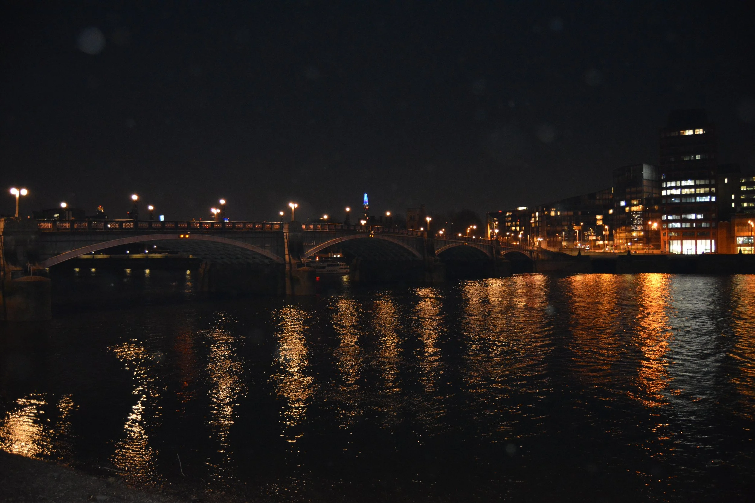 DSC_0110.JPG
