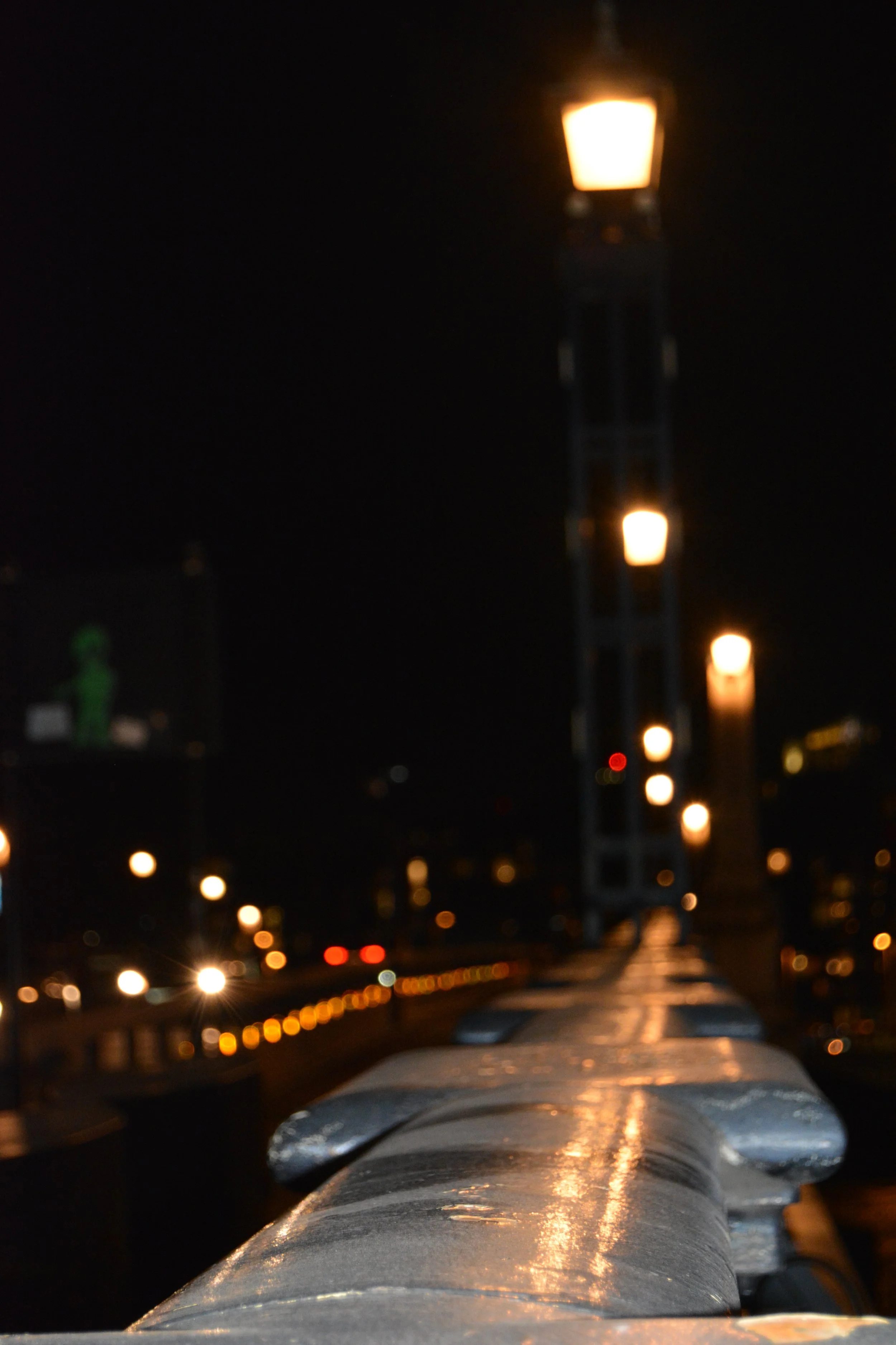 DSC_0116.JPG