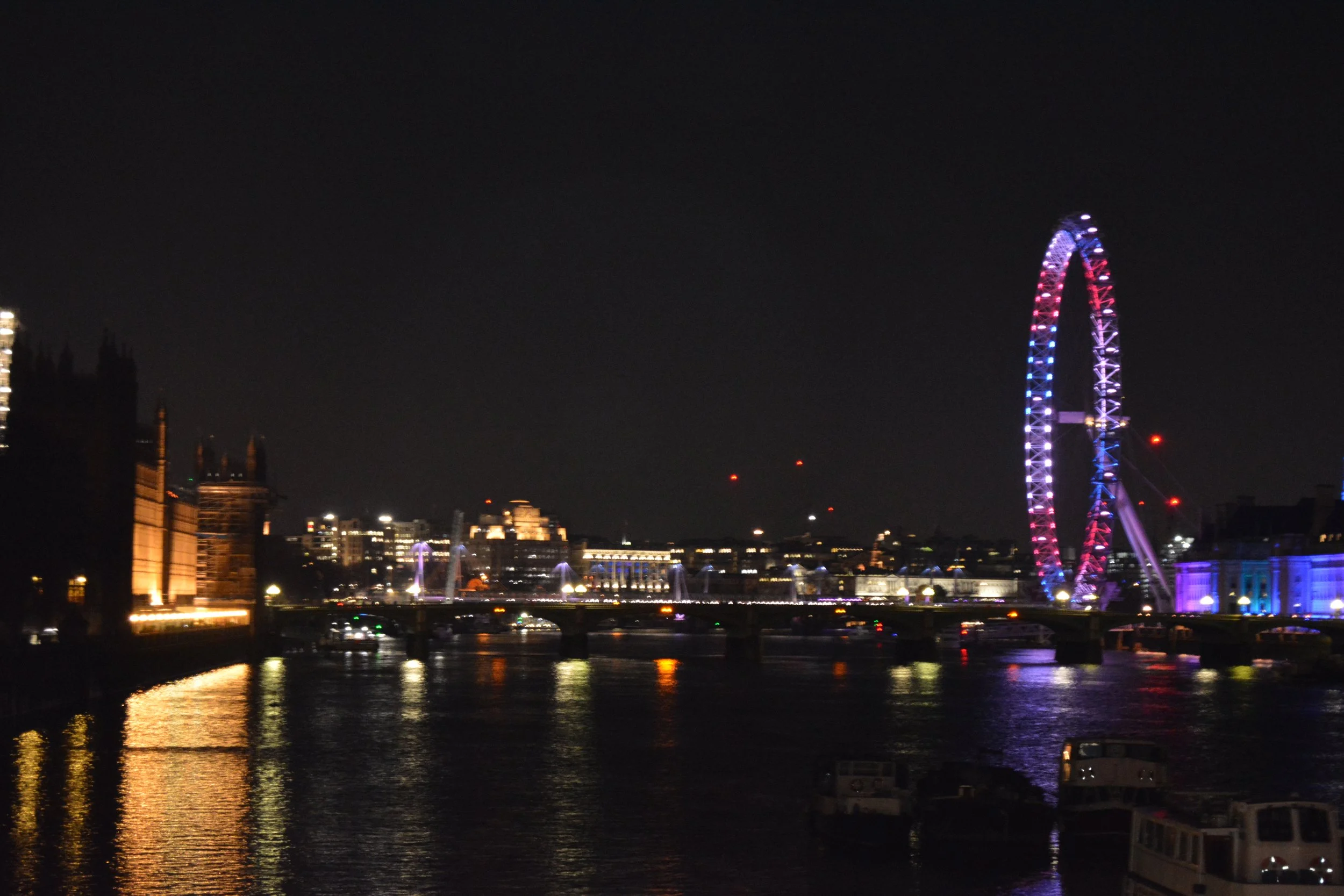 DSC_0123.JPG