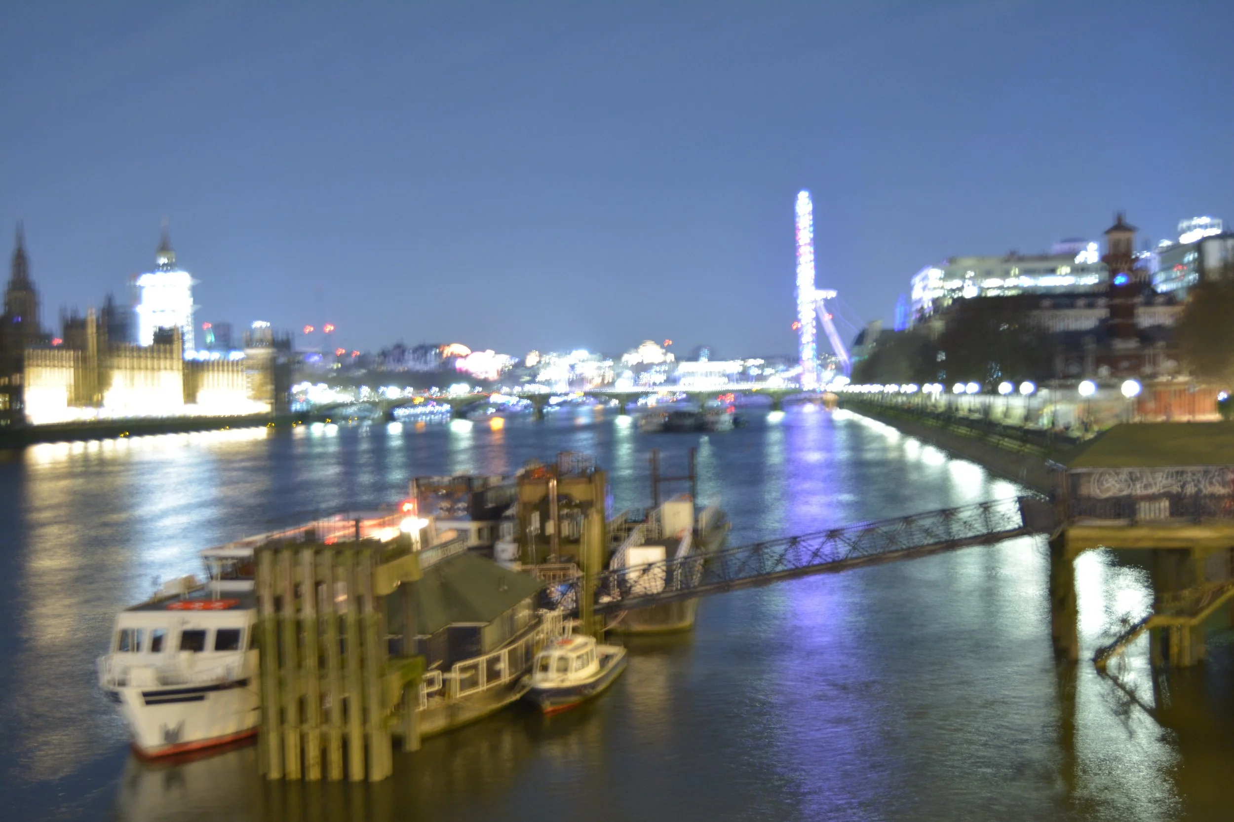 DSC_0133.JPG