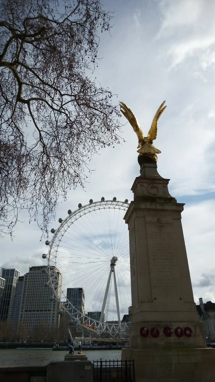 7FF3EDBB-0840-4AB8-9B42-31E937156E41.jpeg
