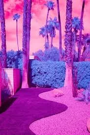 images (2).jpeg
