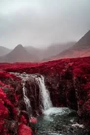 images (5).jpeg