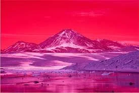 images (11).jpeg