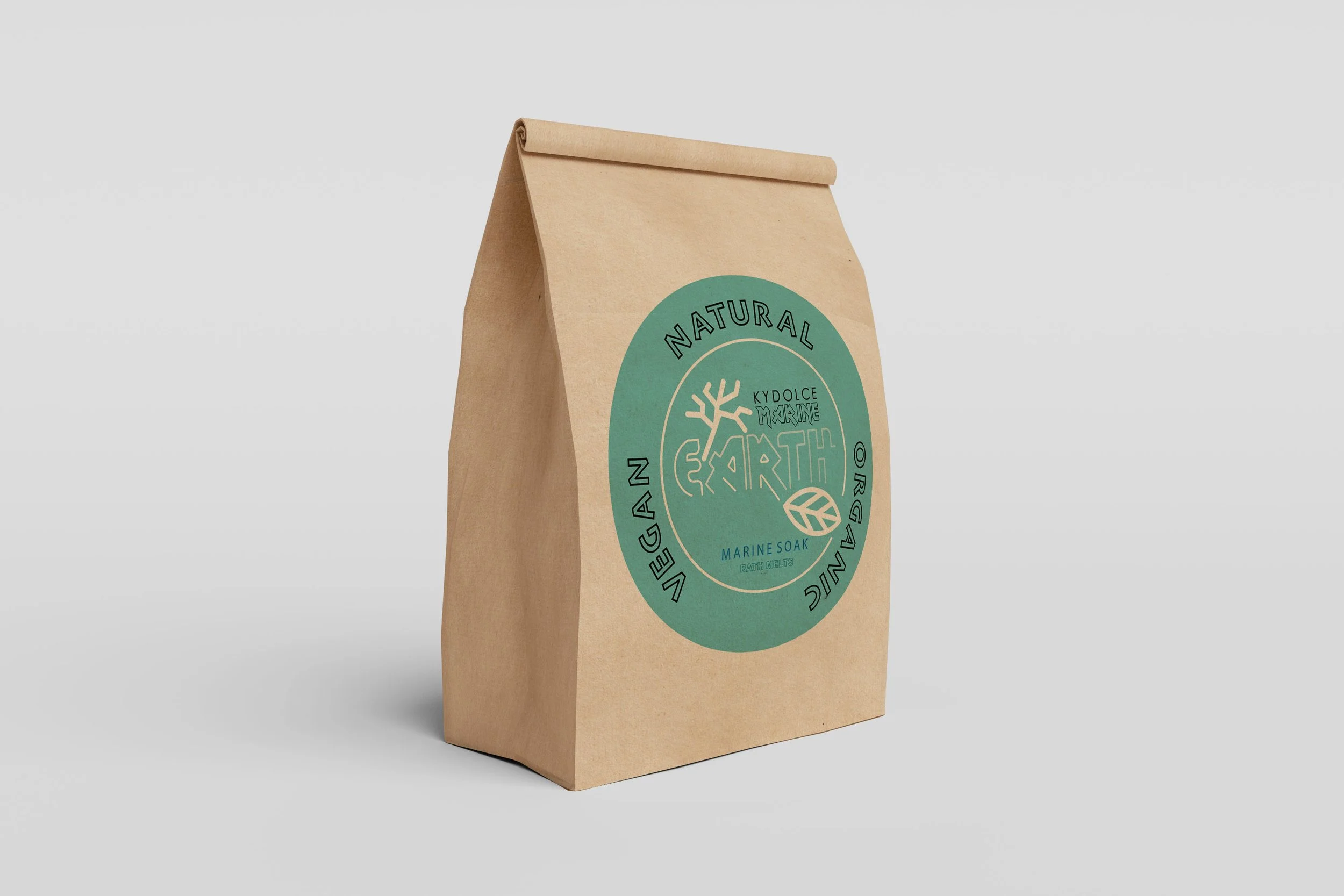 Paper-Bag-1-KYD-SEASCRUB.jpg