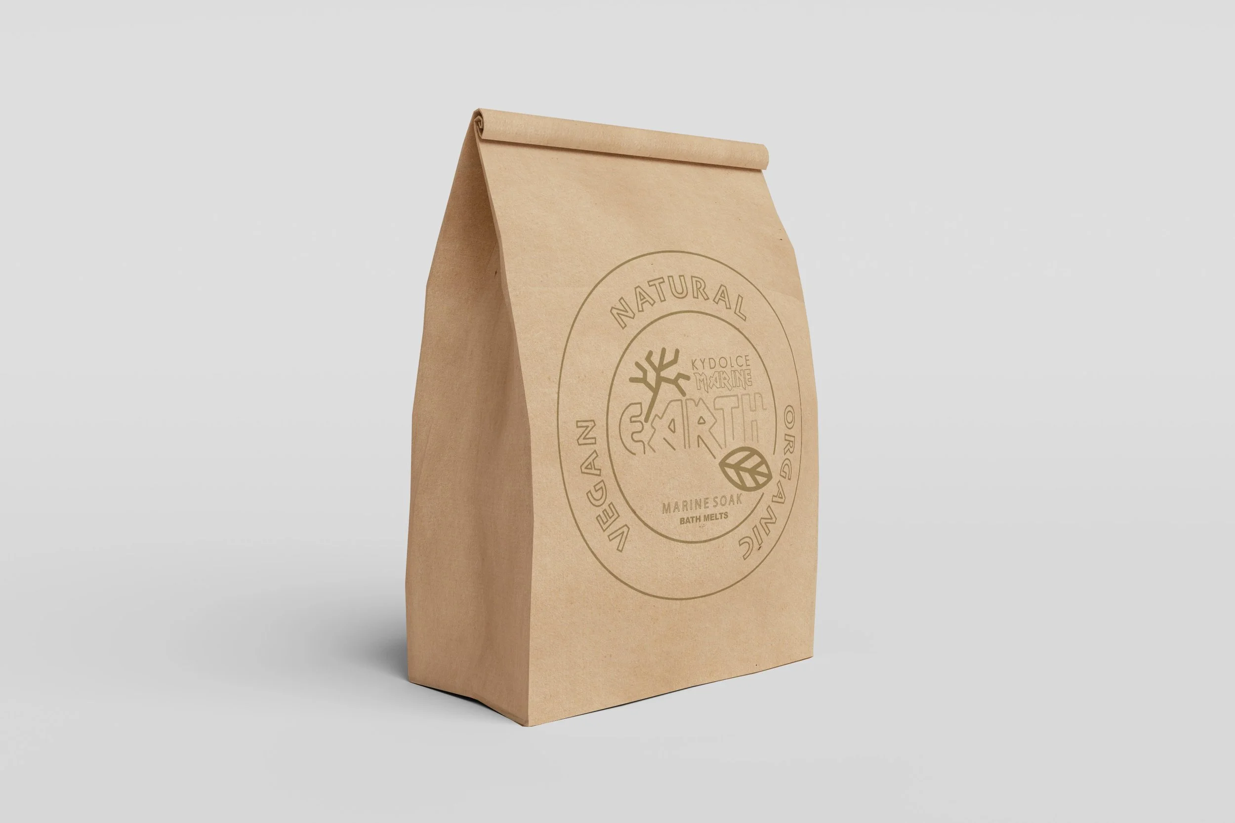 Paper Bag 1-KYD-SEASCRUB-brown.jpg