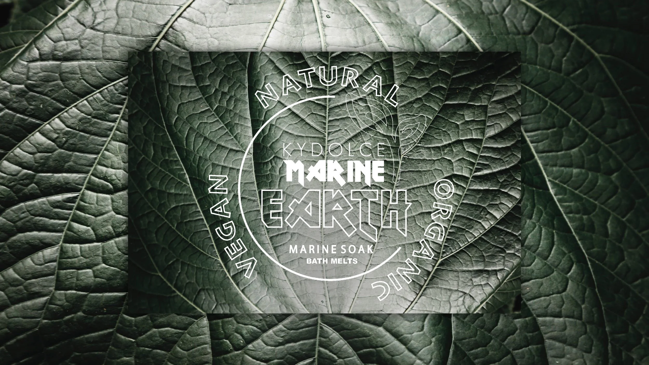 KYDOLCE-MARINE-EARTH-PRESENTATION-SLIDE-1.jpg