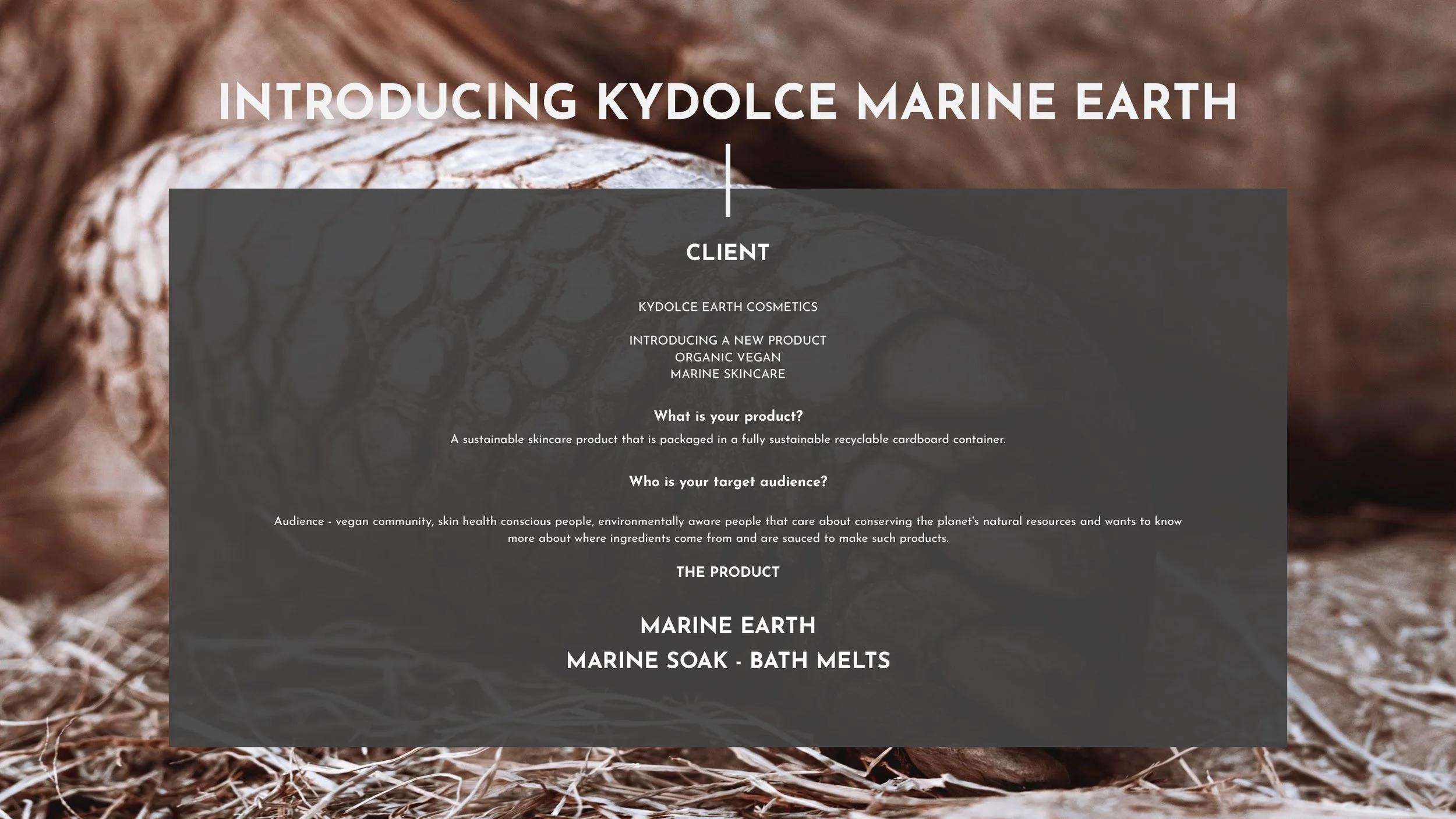 KYDOLCE-MARINE-EARTH-PRESENTATION-SLIDE-3.jpg