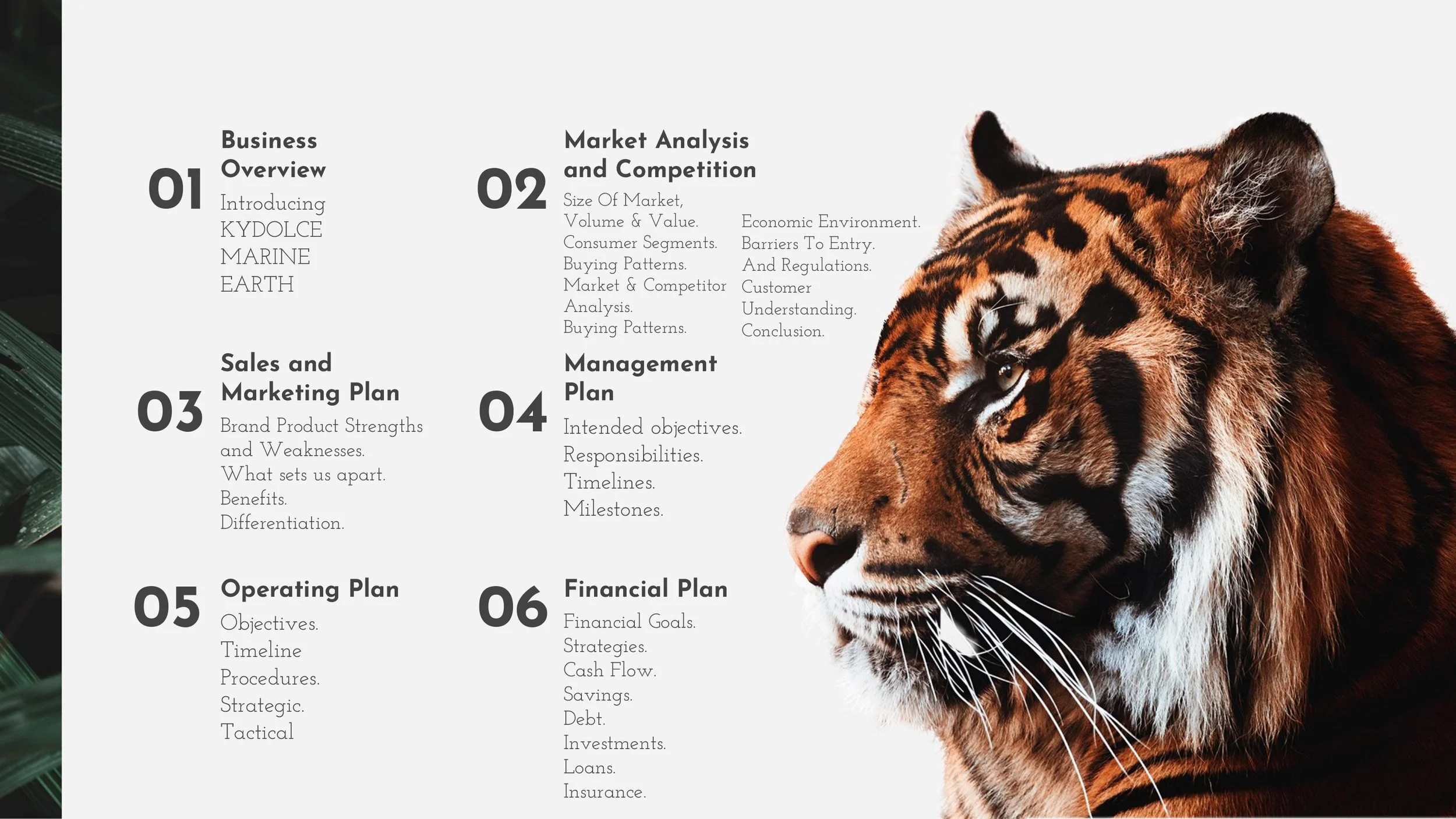 KYDOLCE-MARINE-EARTH-PRESENTATION-SLIDE-2.jpg