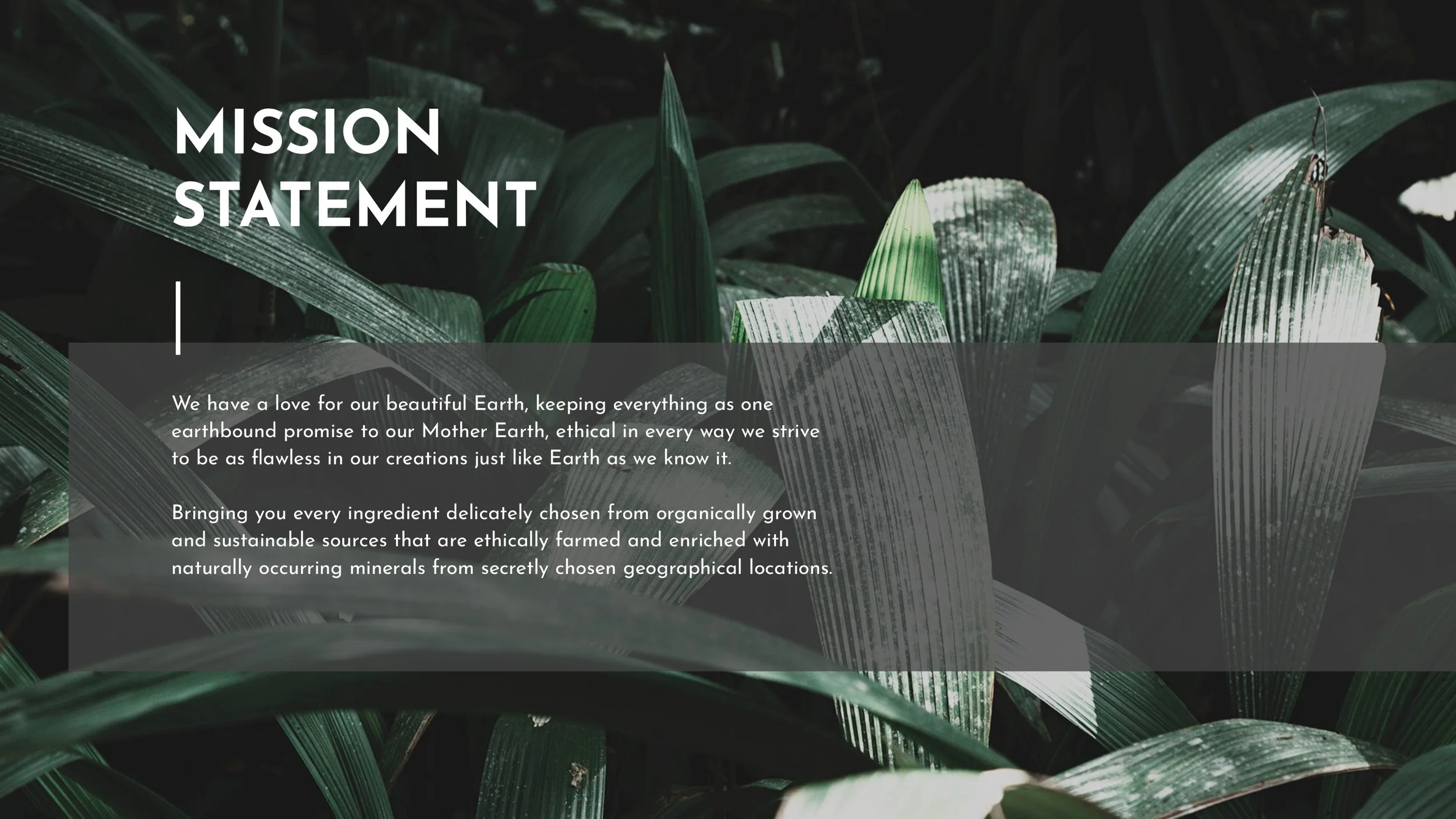 KYDOLCE-MARINE-EARTH-PRESENTATION-SLIDE-4.jpg