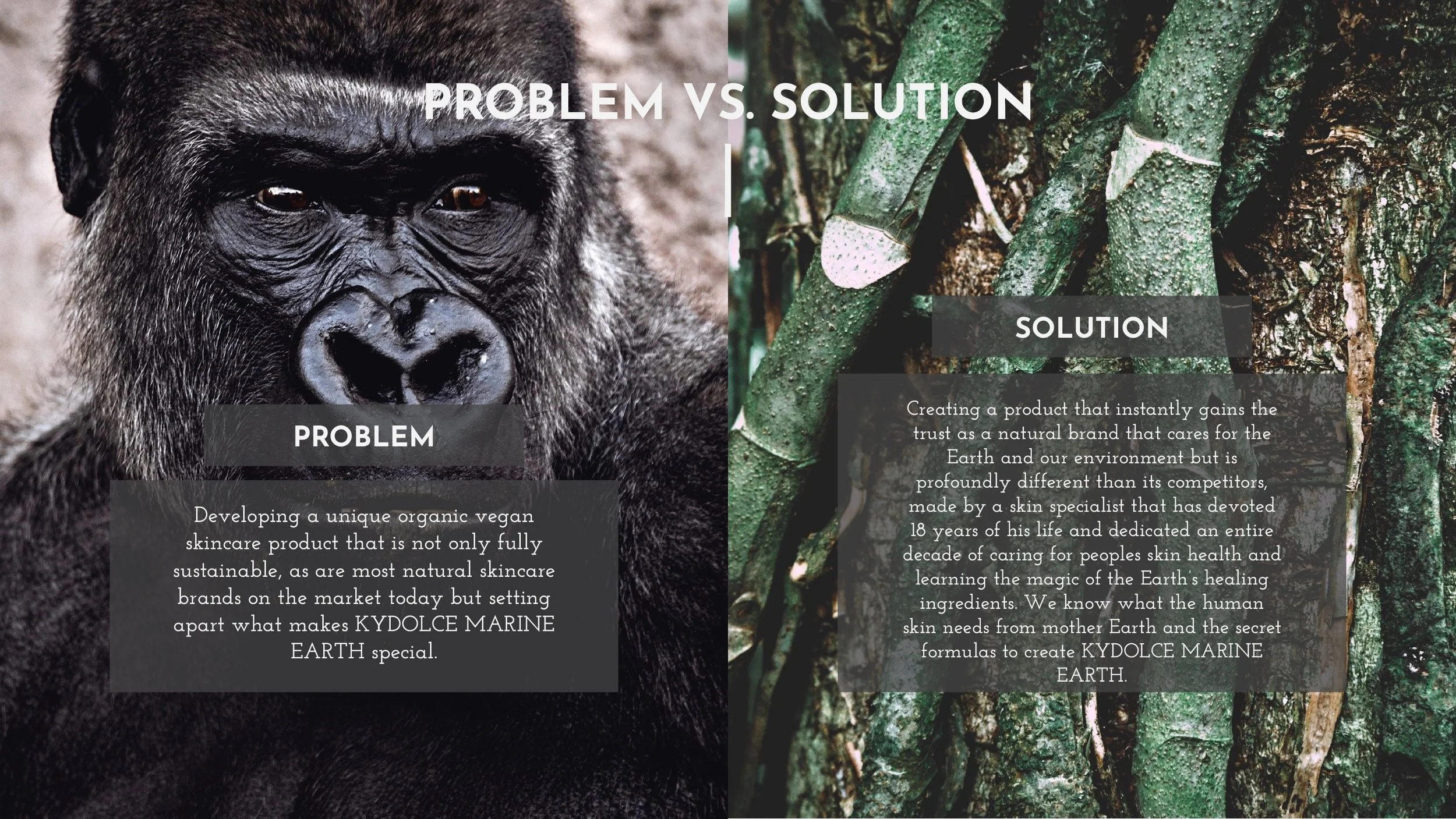 KYDOLCE-MARINE-EARTH-PRESENTATION-SLIDE-8.jpg