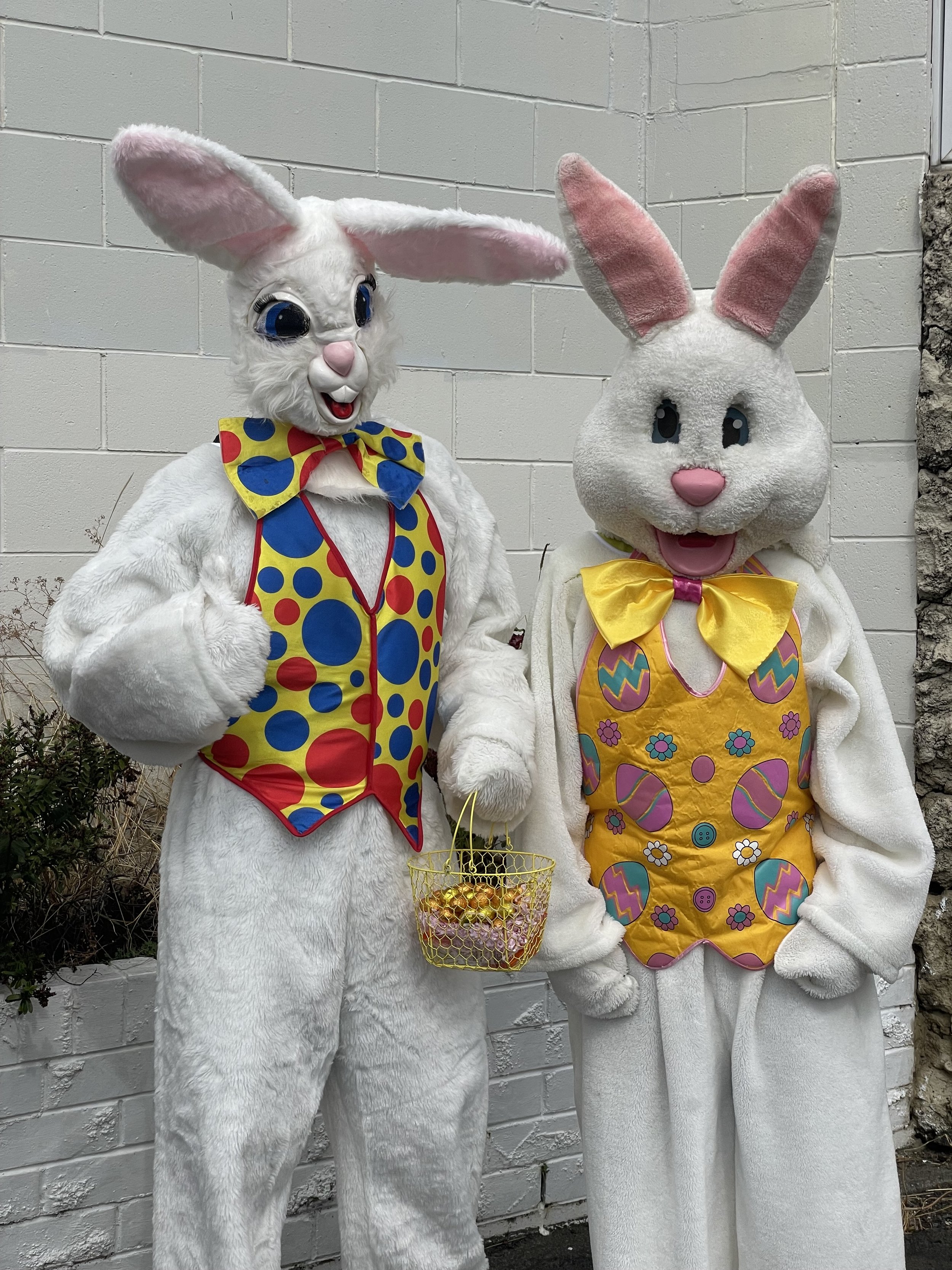 easter bunnies.jpg