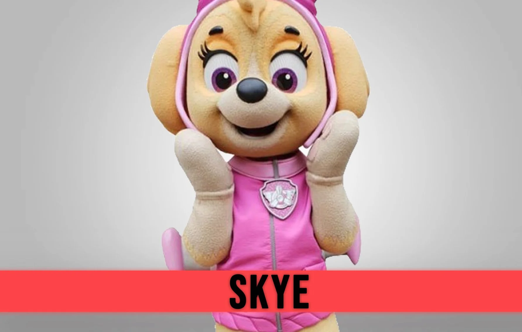 Skye paw patrol party entertainer mascot 