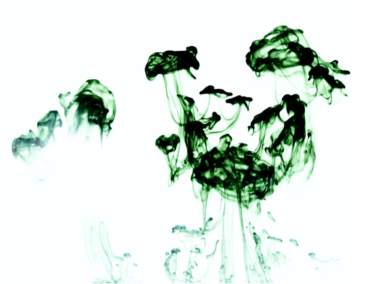 Screen Shot 2021-01-03 at 12.48.23 PM.png