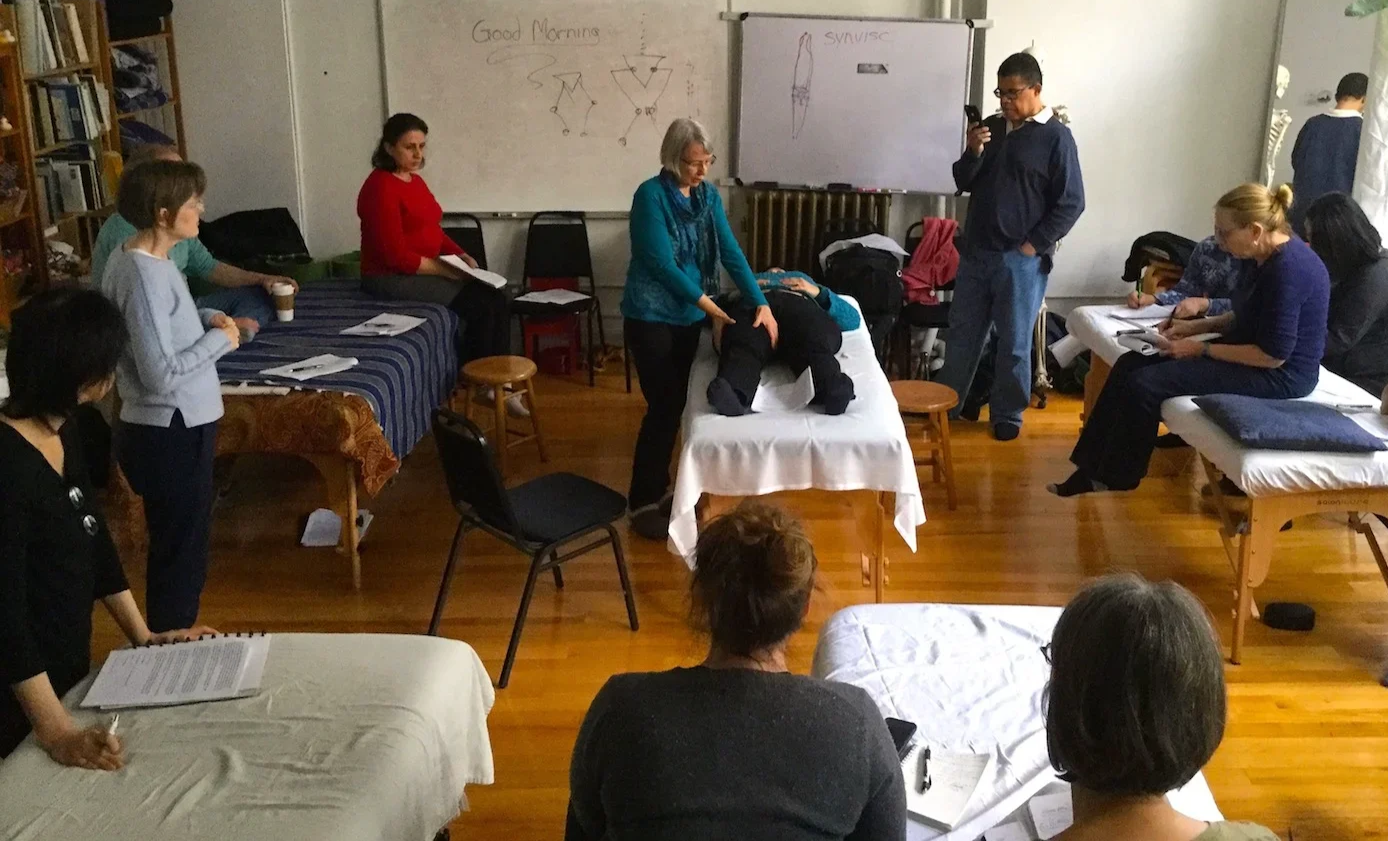 A group of people attending a Ortho-Bionomy class, with an instructor demonstrating a Orhto-Bionomy technique with a person lying face down on a table, while others observe and take notes in a classroom setting.