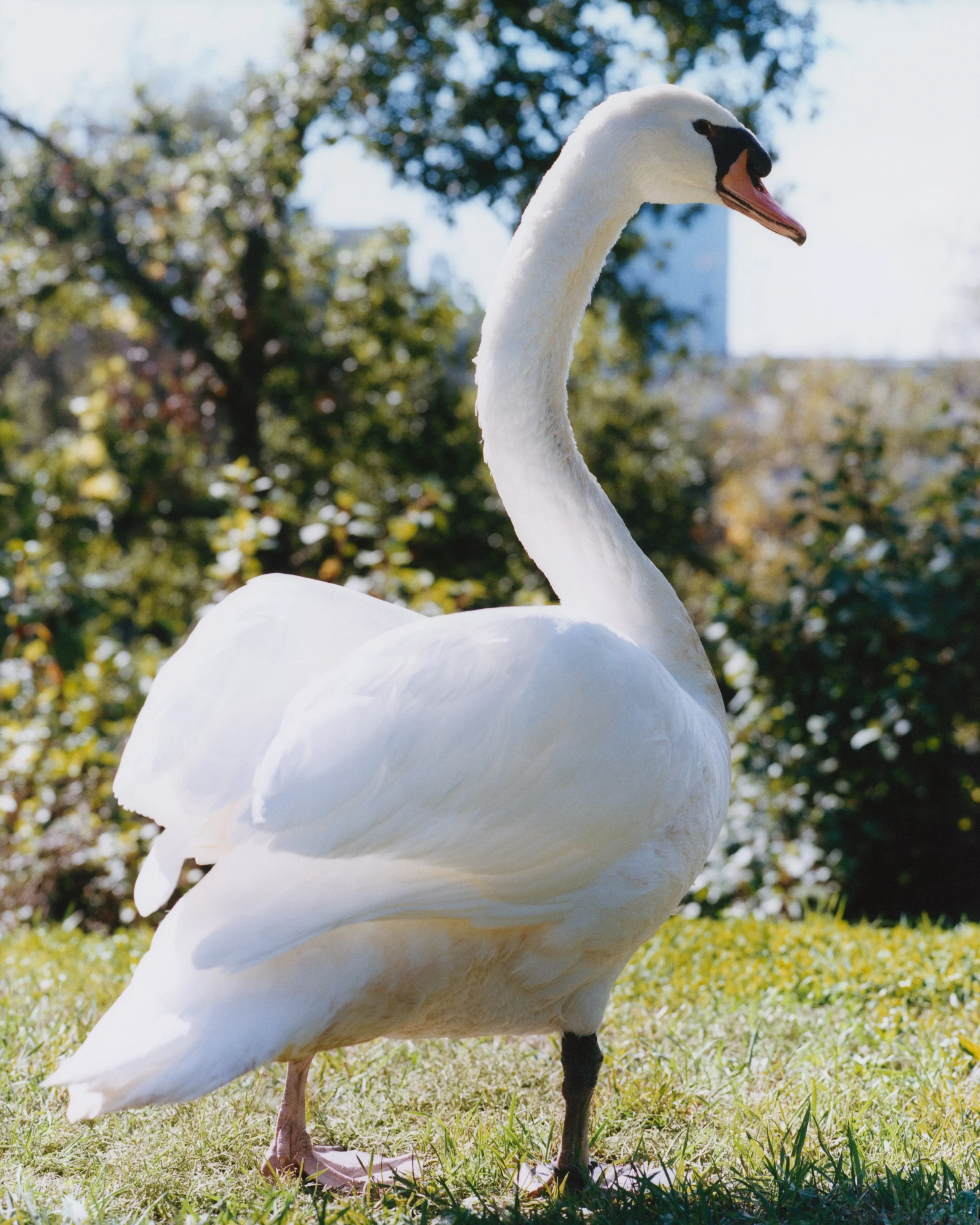 2887_IMAGINE_LJC_KATE_SPADE_PRINT_ (6)_sRGB_F1.jpg