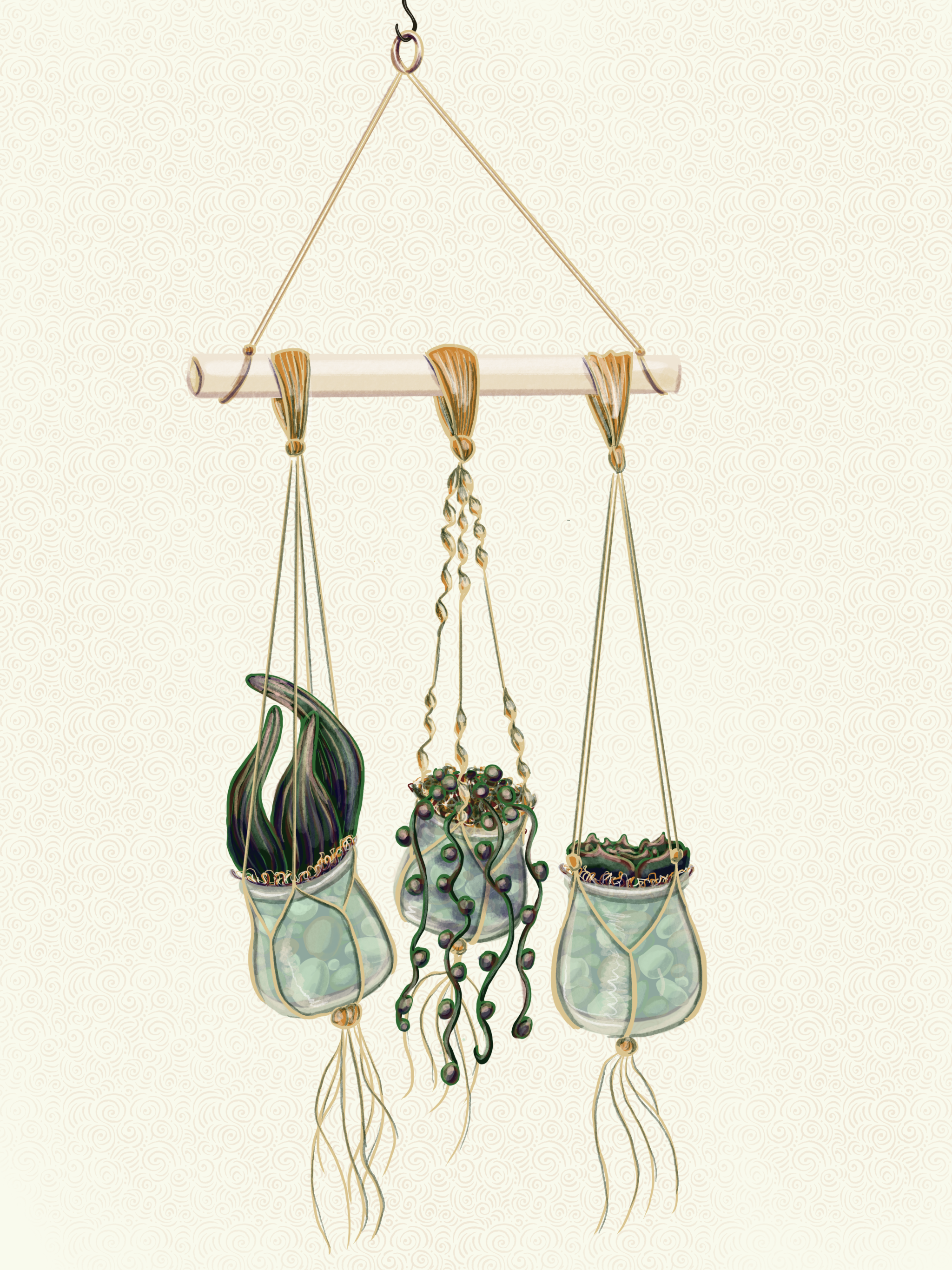 Sarah's_Planter.PNG