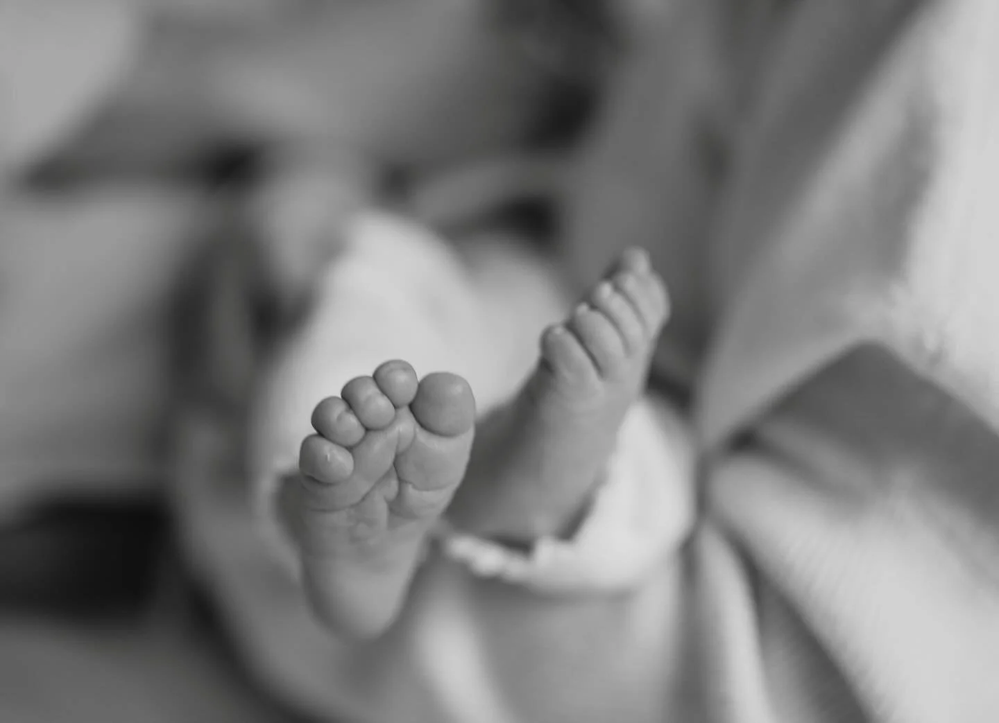 Nothing quite as precious as those tiny toes!☺️

.
.
.

Kansas City | Kansas City Photographer | KC | Family Photographer | Natural Light | In-Home Lifestyle | Newborn Session

#kansascityphotographer #familyphotographer #lifestylephotographer #black