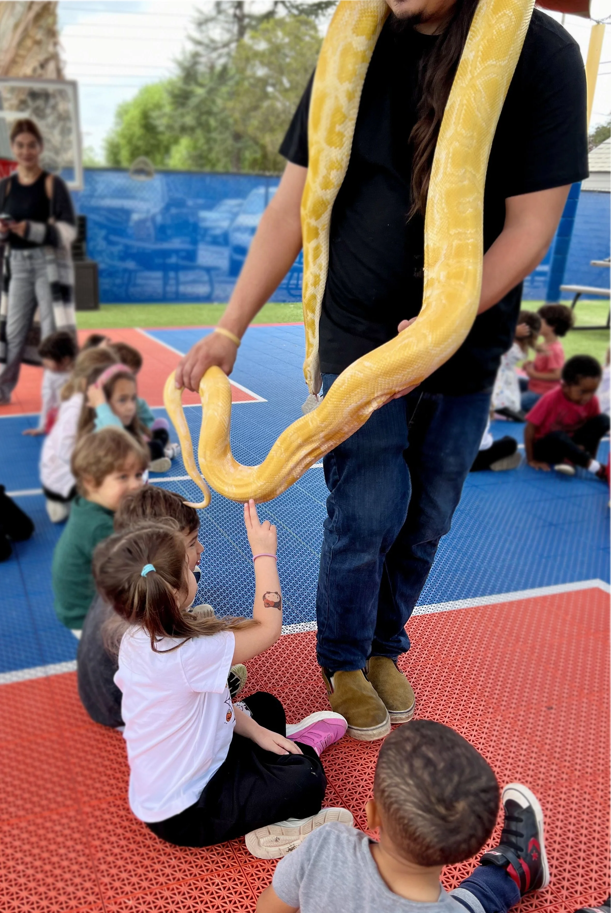 Snake.jpg.jpg