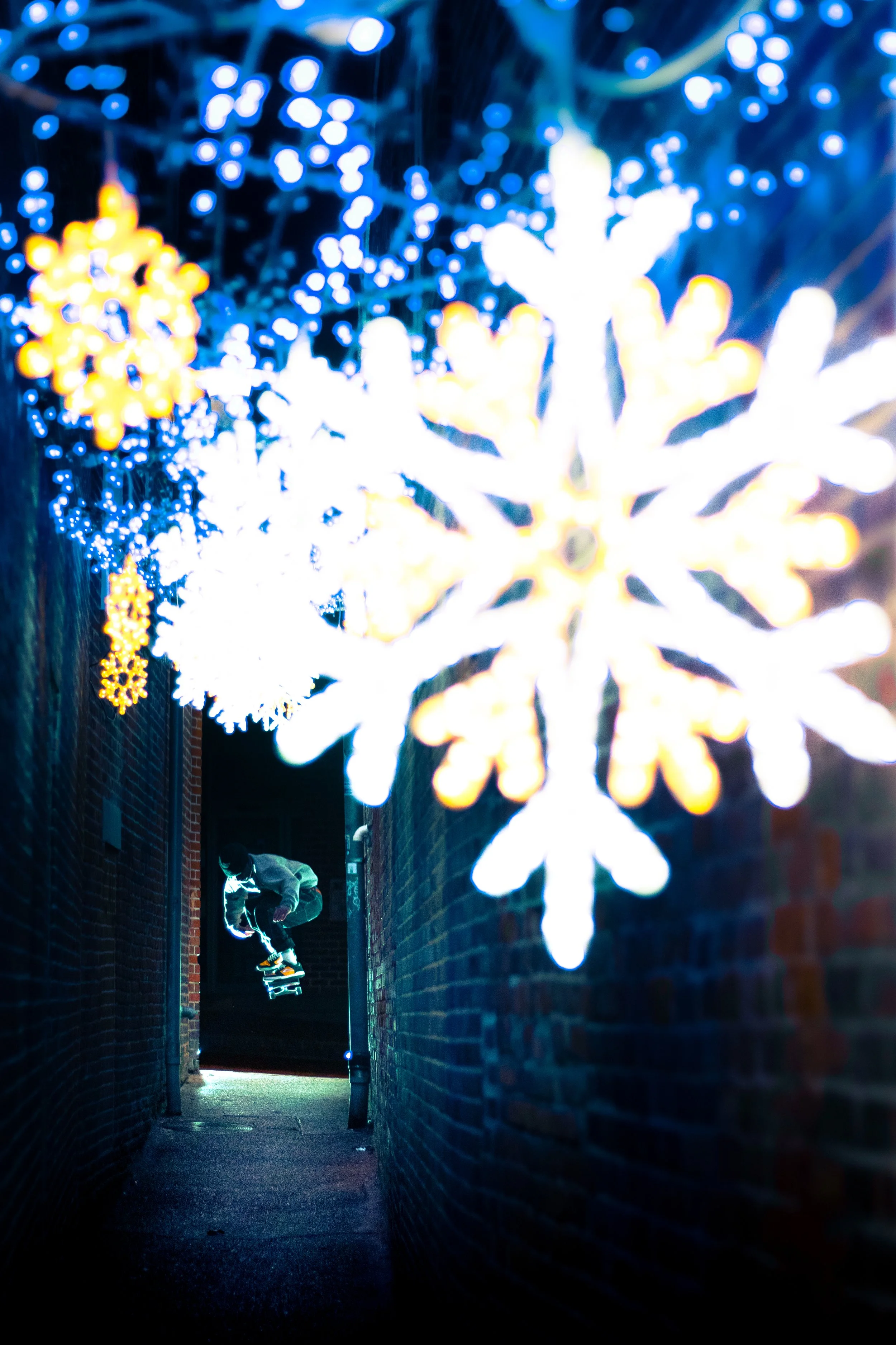 Noah_Alley-2.jpg